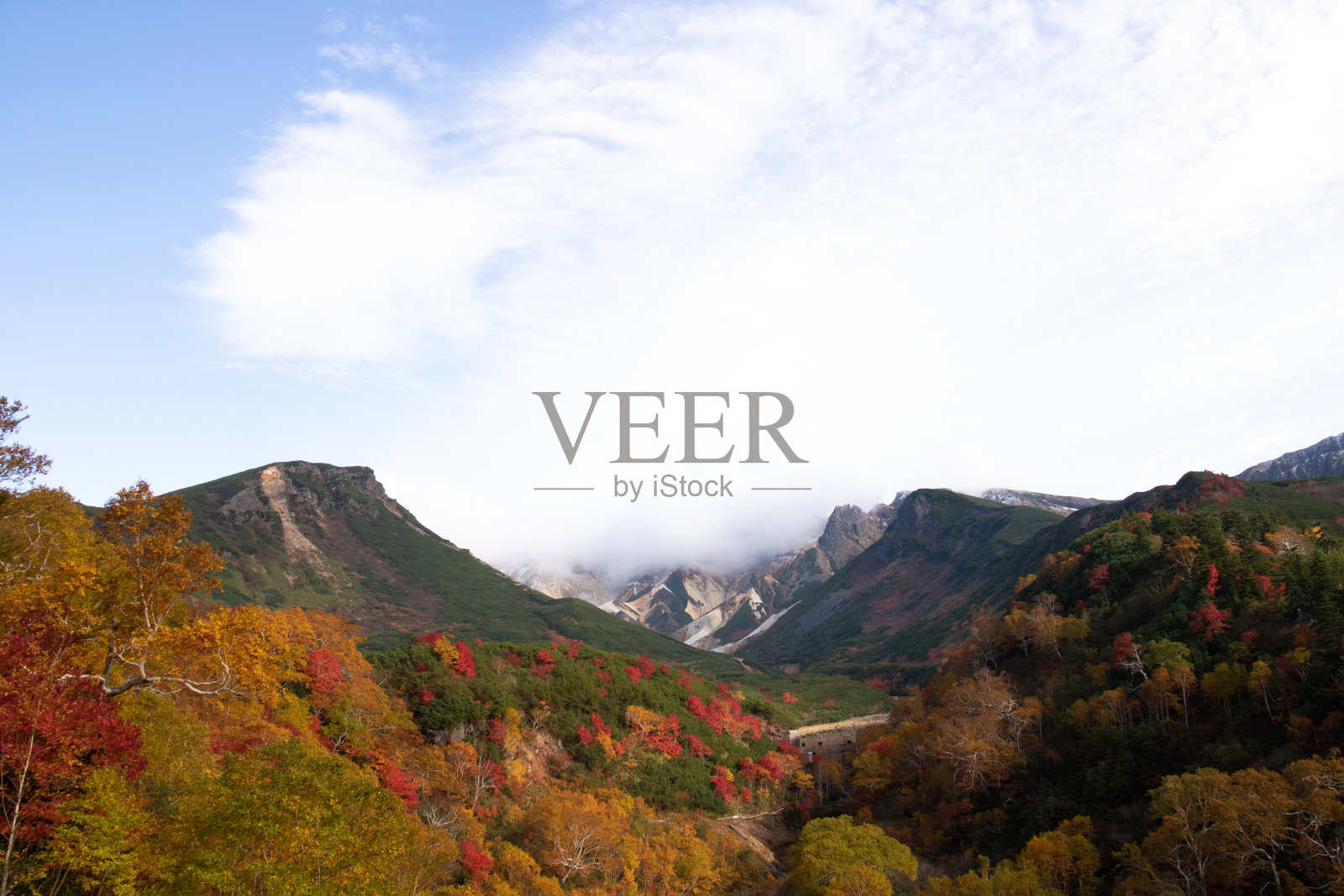 山顶满是秋叶照片摄影图片