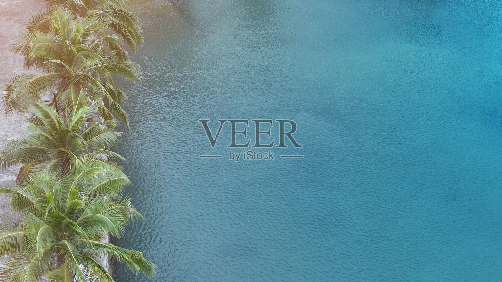 空中俯瞰棕榈树在热带夏季与柔和的蓝色海浪在海滩和柔和的波浪背景。照片摄影图片