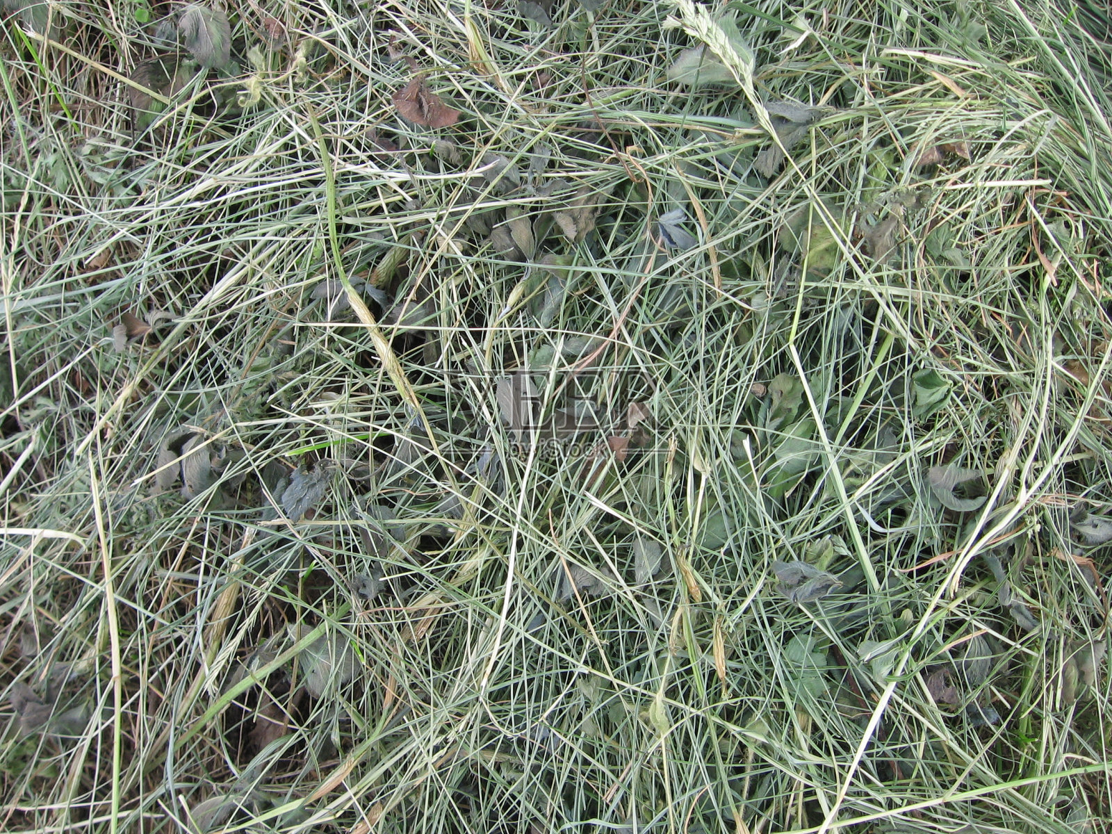 干草纹理照片摄影图片