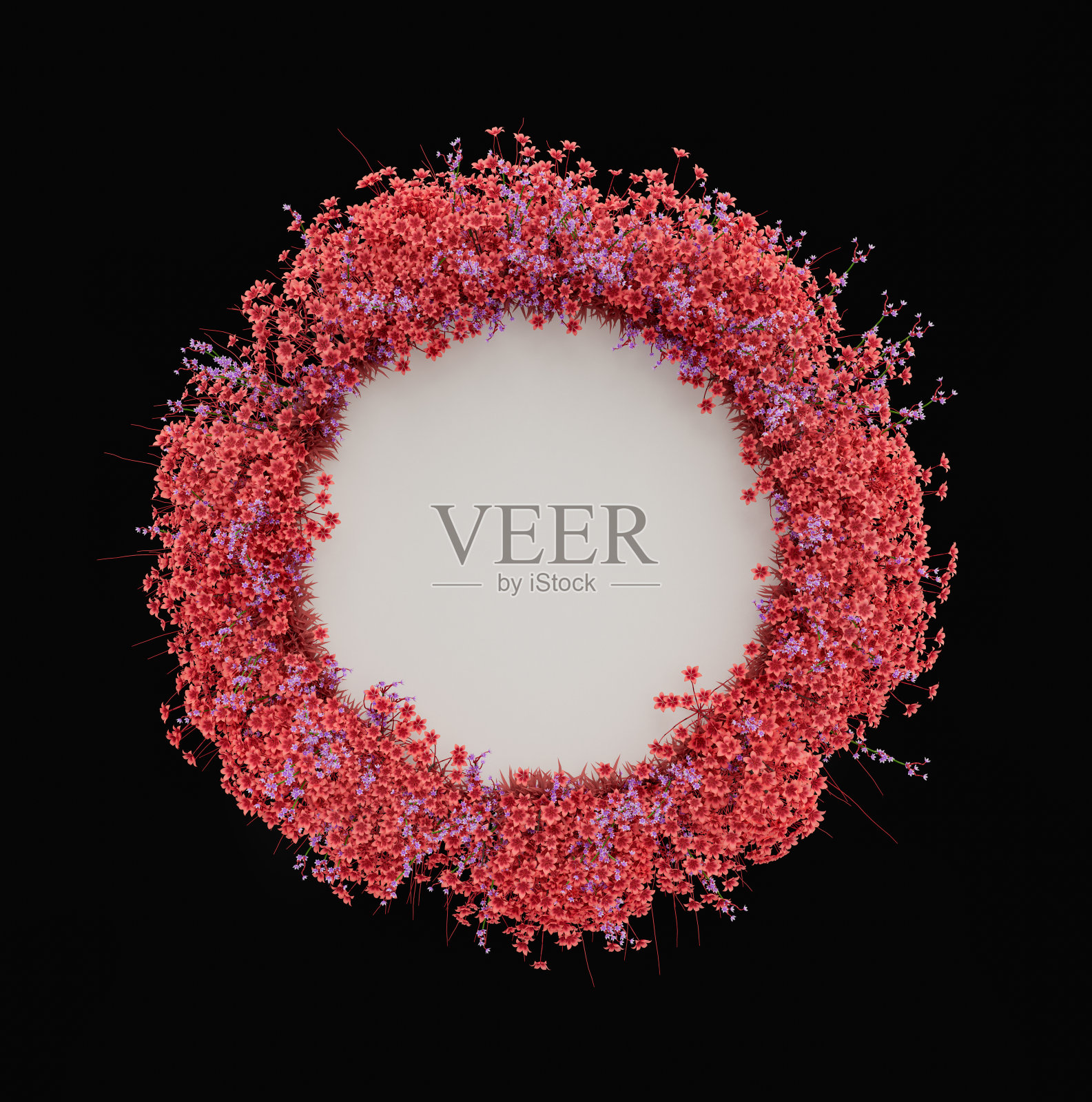 植物学卡片花盖圆形空画布，3d渲染照片摄影图片