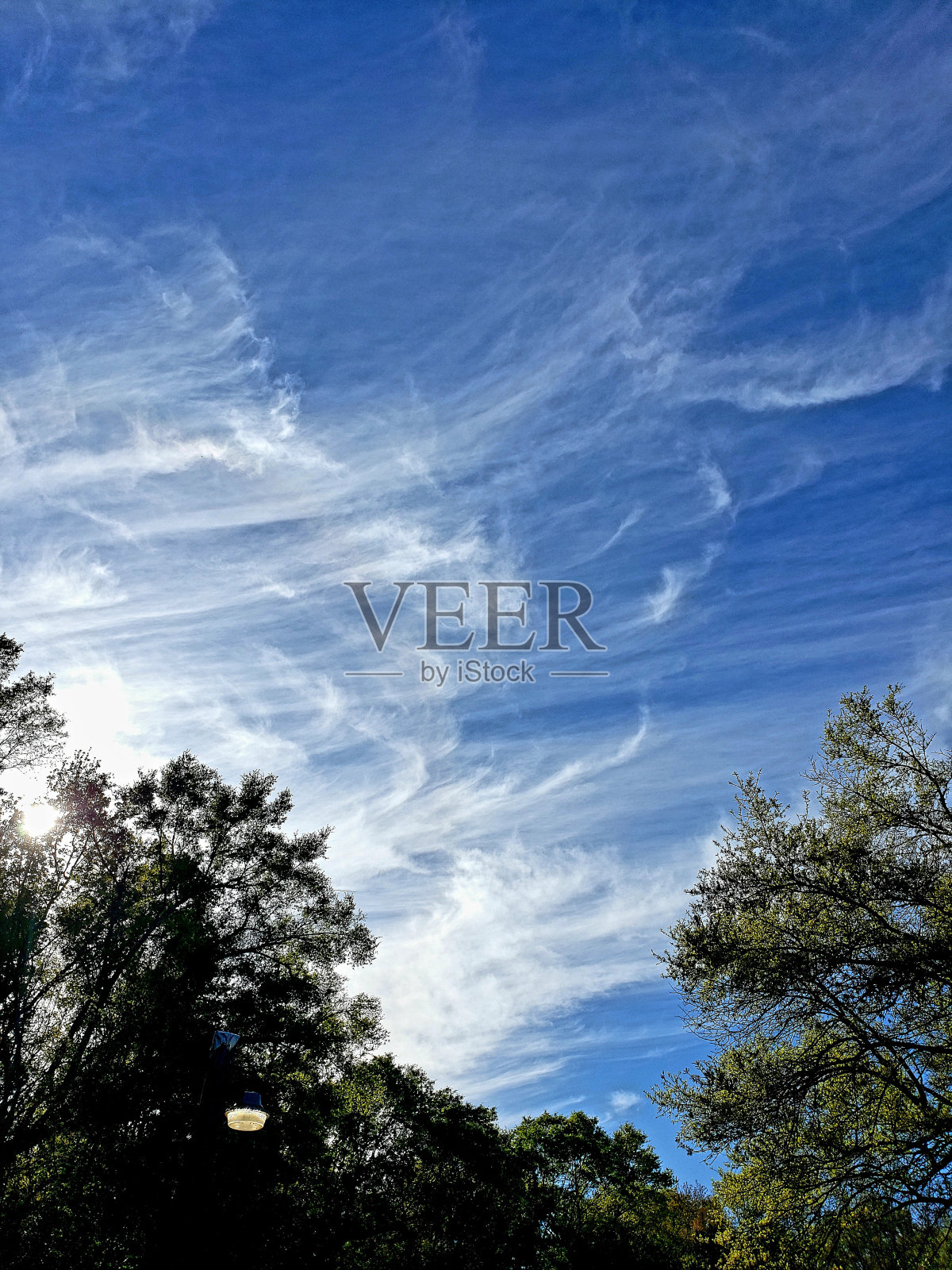 云集合形状，大小，纤细的模式照片摄影图片