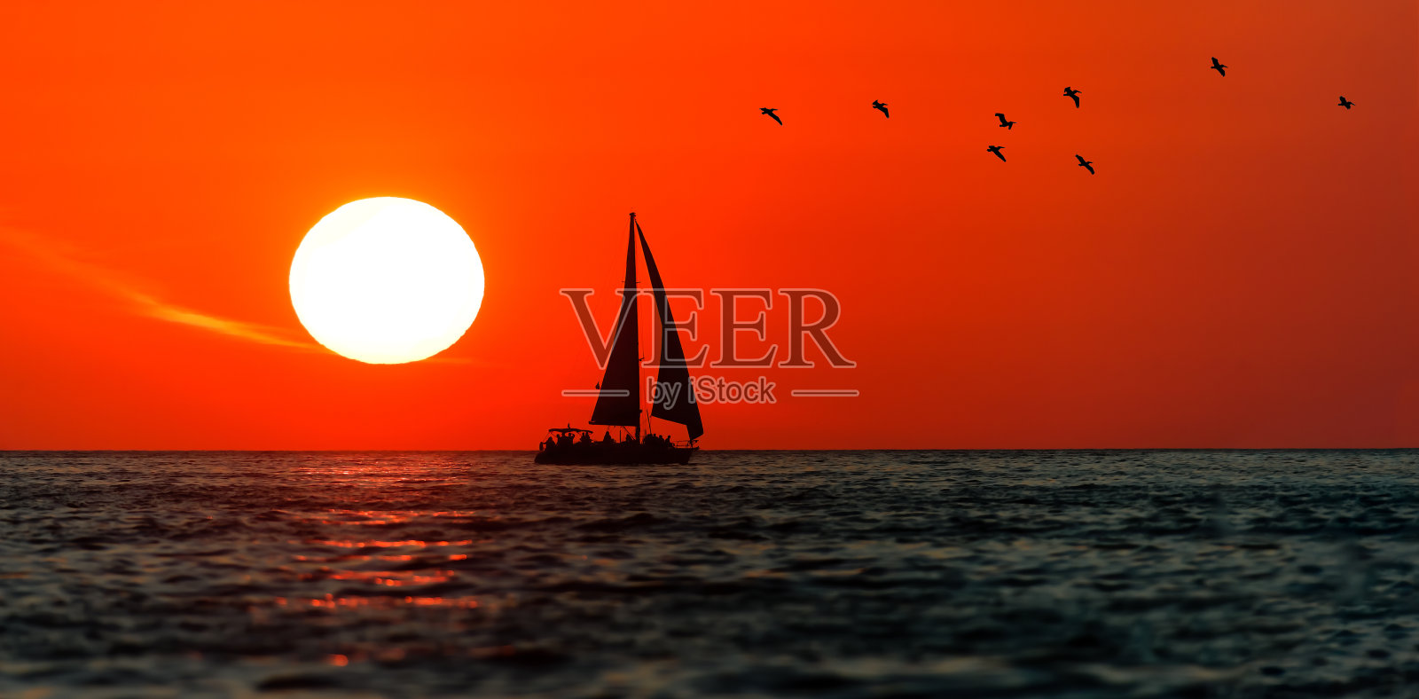 日落帆船海洋景观帆船鸟照片摄影图片
