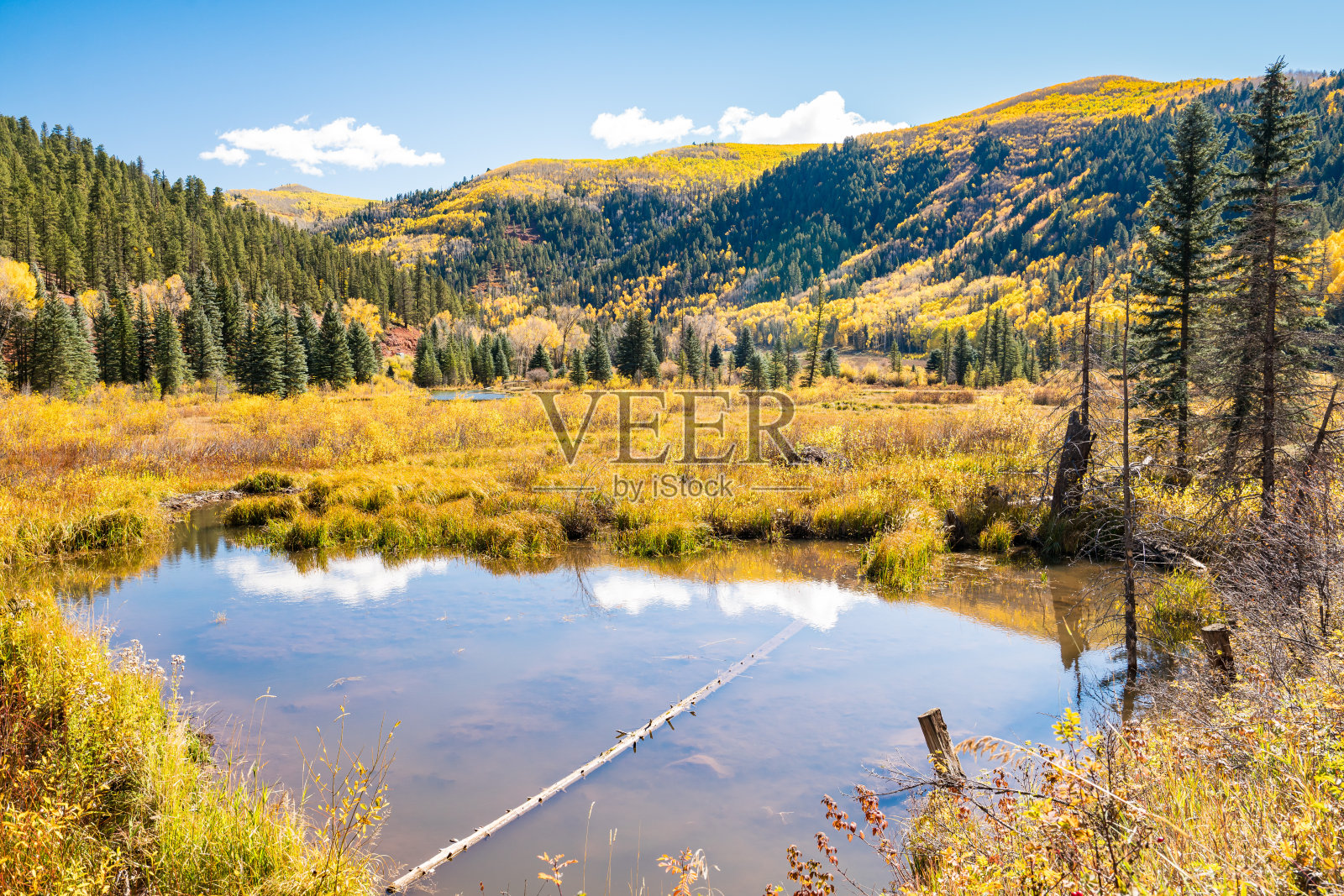 科罗拉多州圣胡安山脉的秋叶照片摄影图片