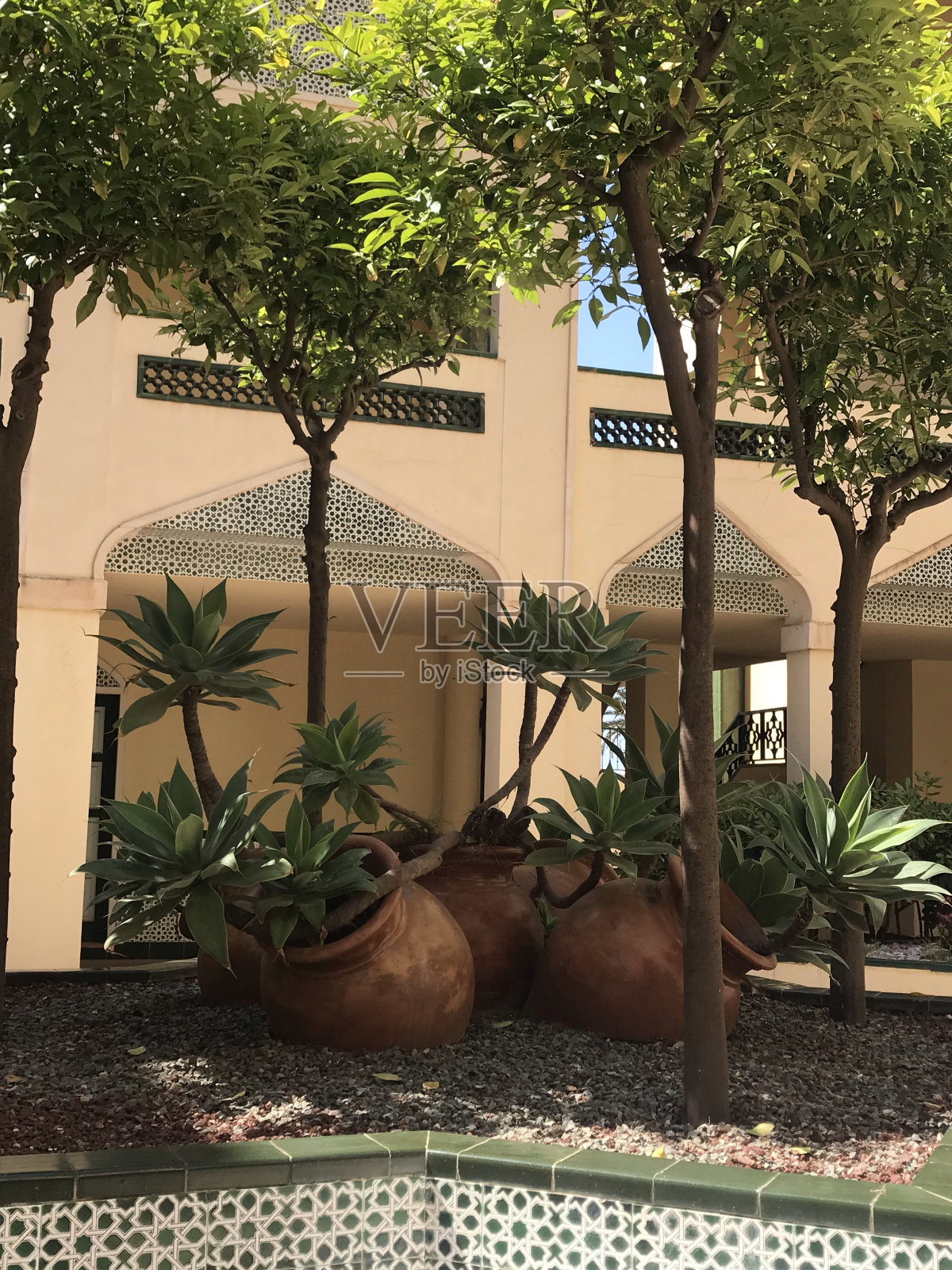 圣波拉，2022年照片摄影图片