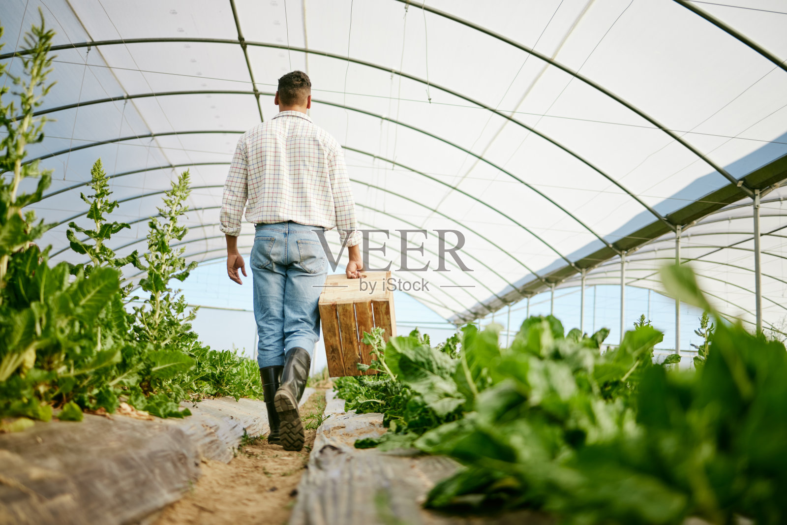 男农民提着一篮子新鲜农产品的镜头照片摄影图片