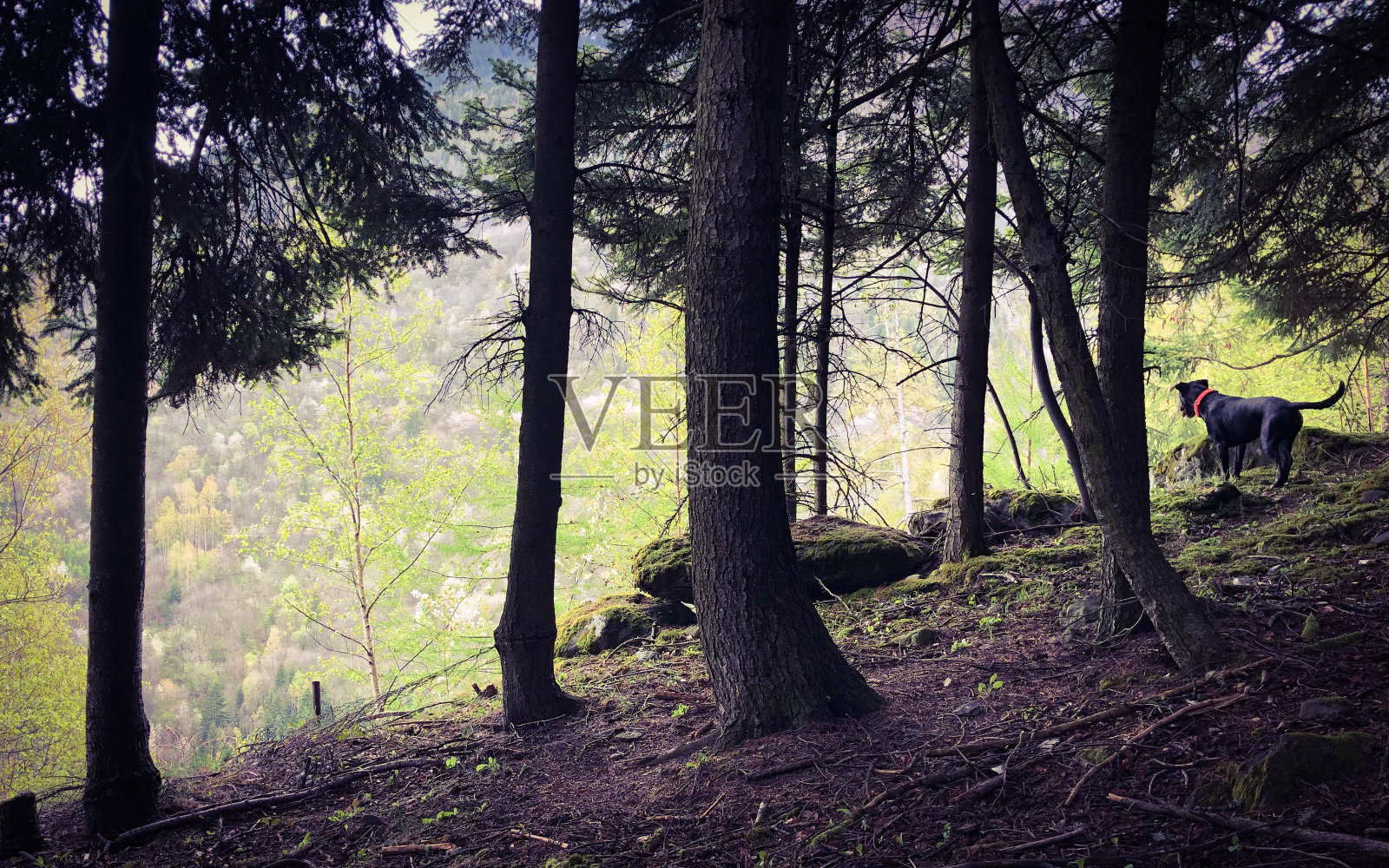 用不同的视角探索照片摄影图片