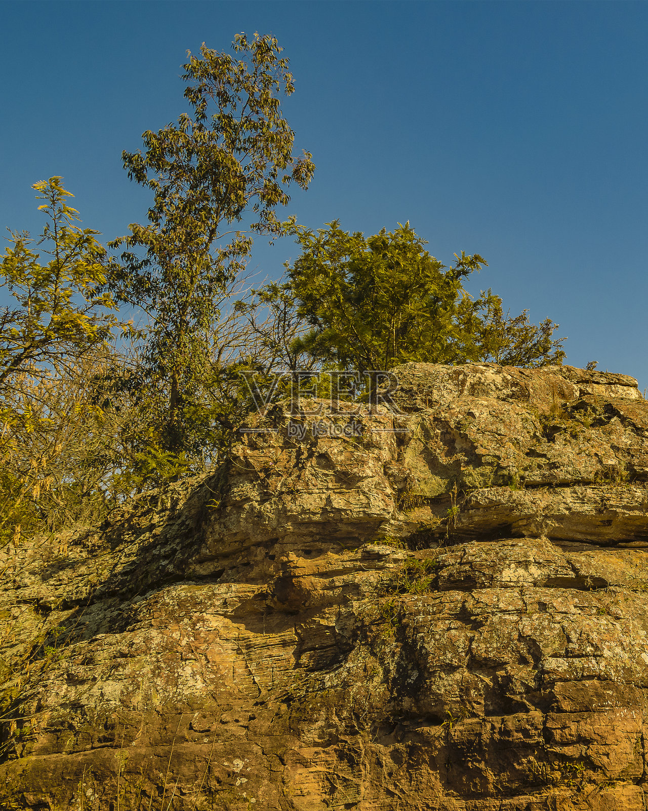 乌拉圭，弗洛雷斯，巴托洛梅伊达尔戈公园照片摄影图片