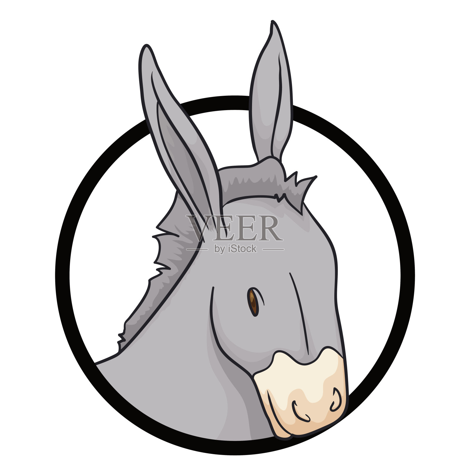 圆圆的纽扣，灰色皮毛的驴子脸插画图片素材