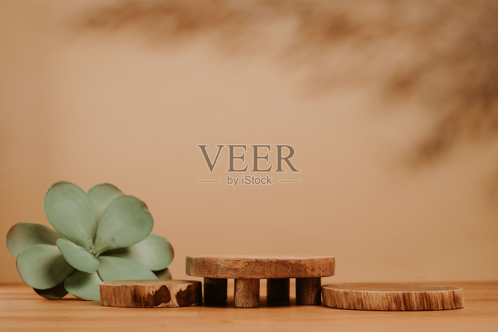 为您的产品提供天然的平台和拷贝空间照片摄影图片