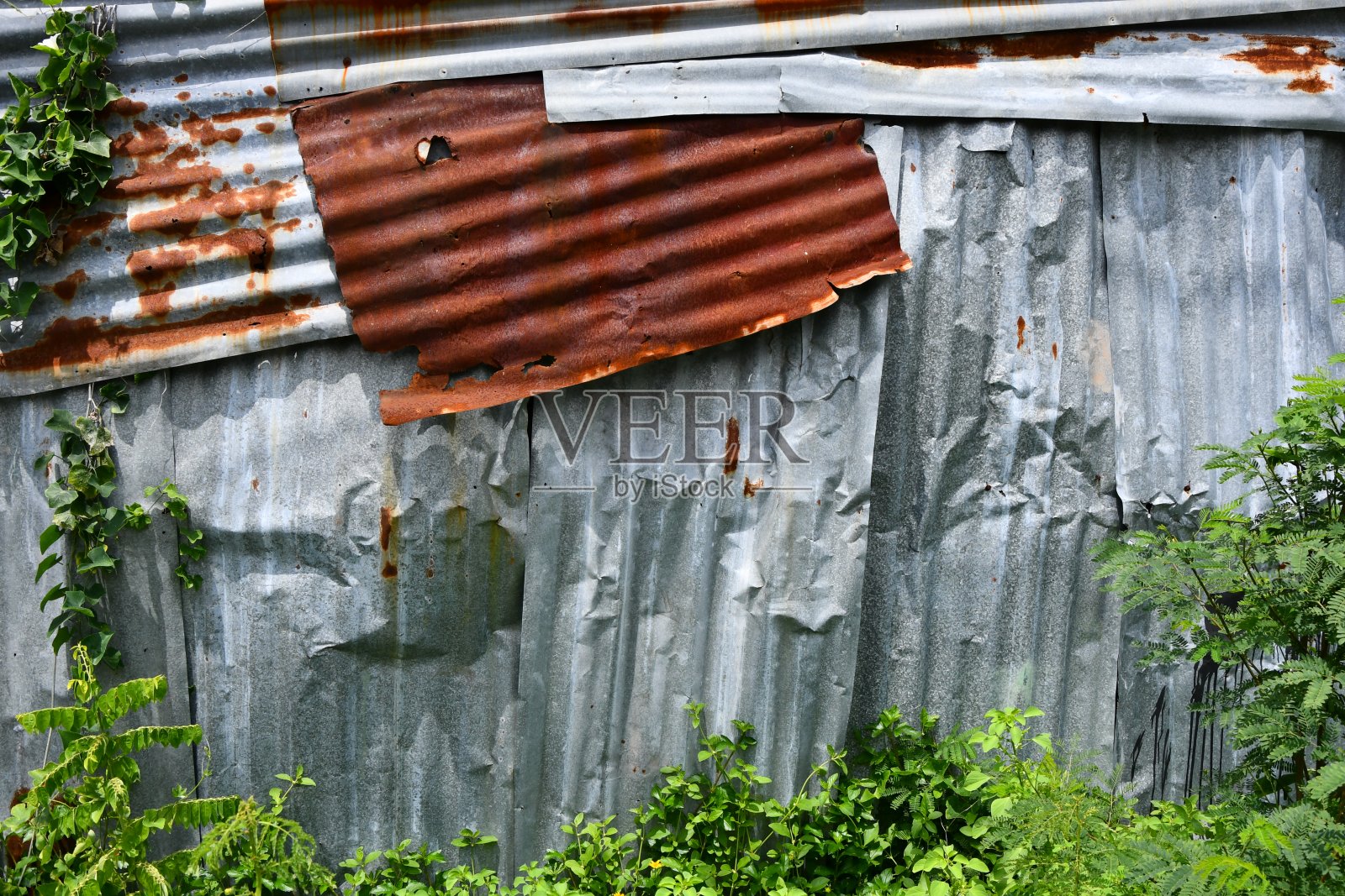 旧的锌层照片摄影图片