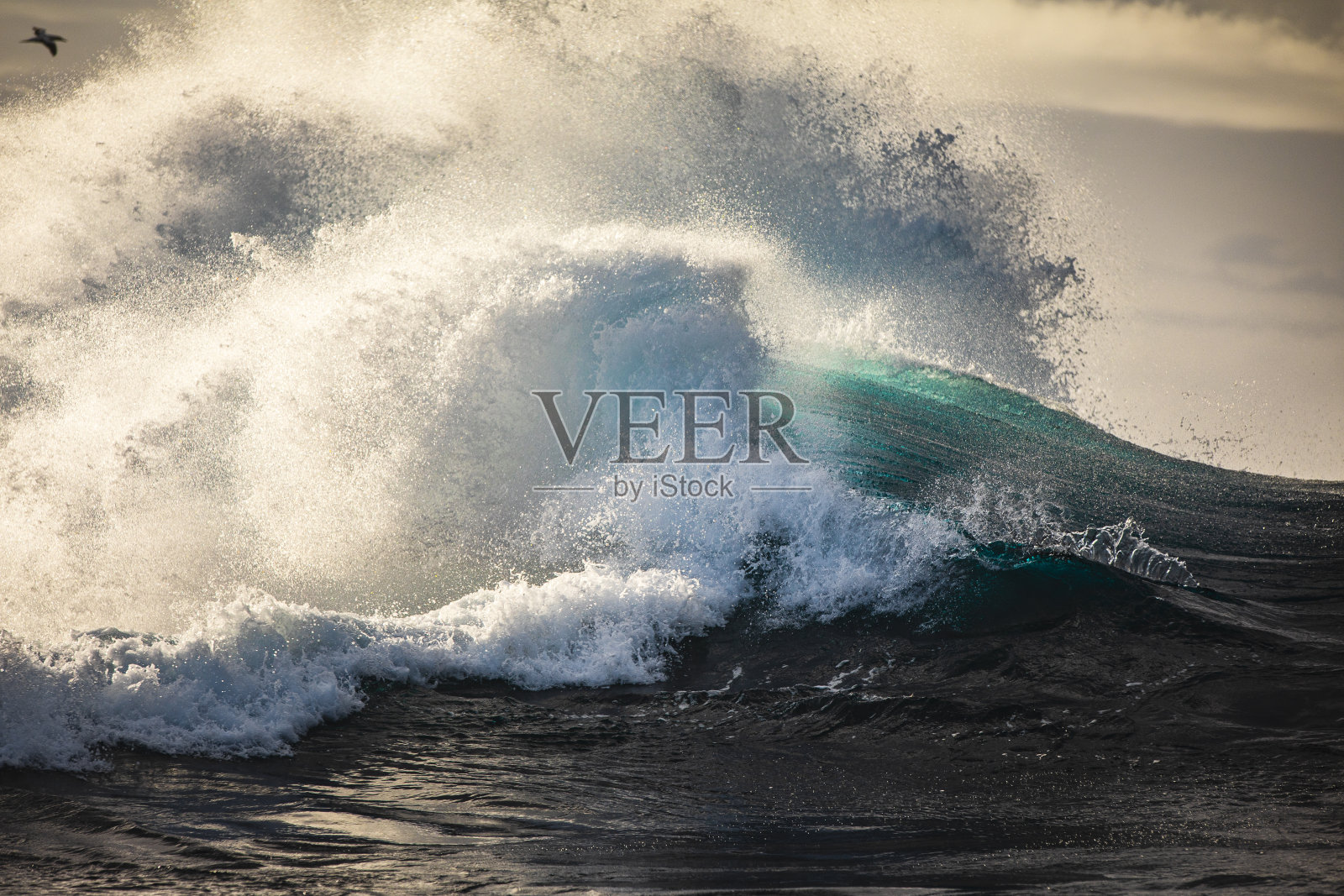 在柔和的金色晨光中，海浪在开阔的海洋中碰撞，形成混乱的水爆炸照片摄影图片