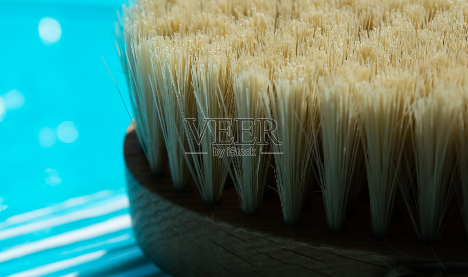 仙人掌纤维刷的微距照片。Spa美容的概念。用于干性身体按摩。微距照片的刷消除脂肪的身体按摩。画笔的背景是蓝色的。按摩油。身体霜。蓝色背景上涂着奶油。照片摄影图片