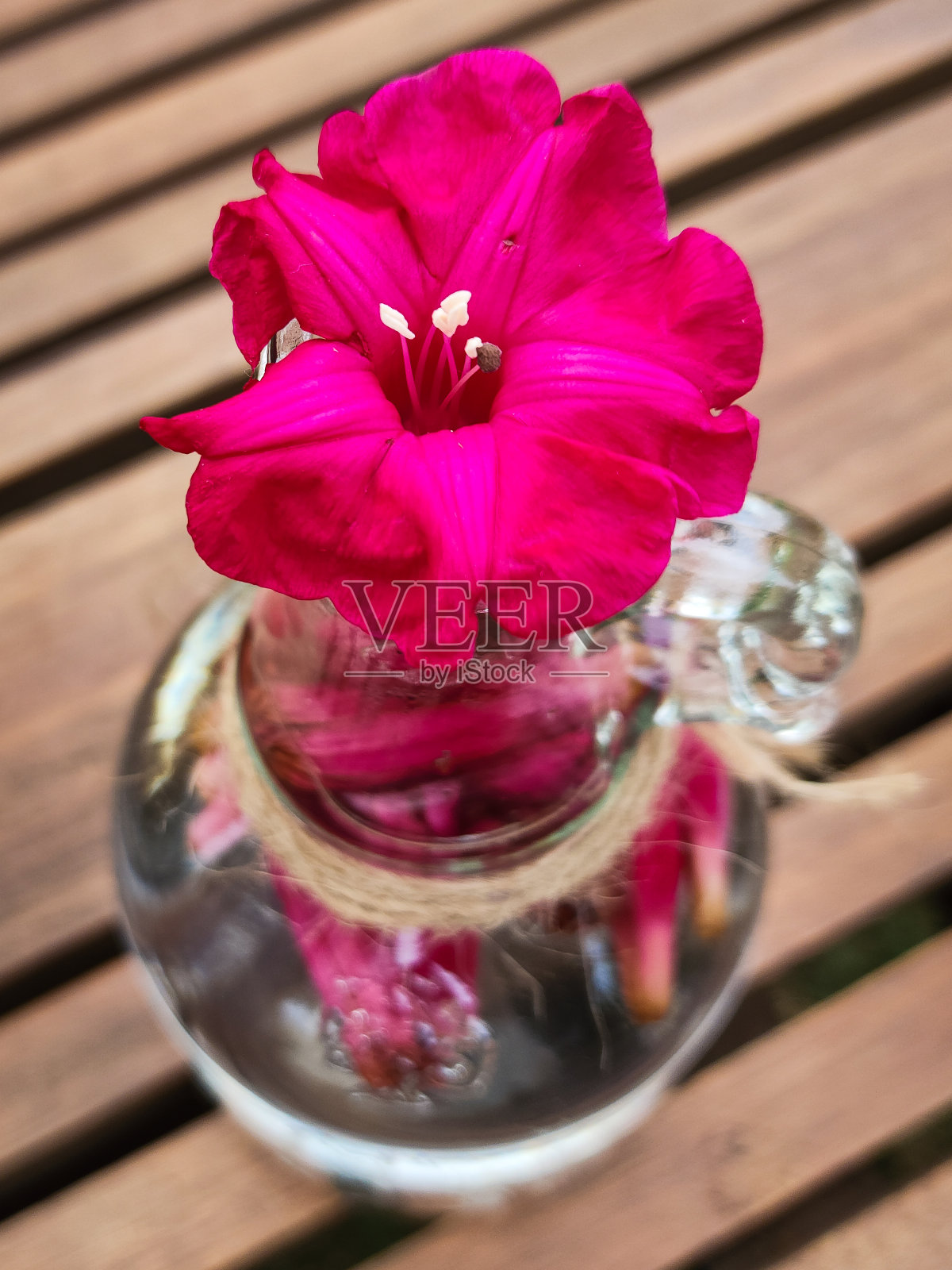 粉红花玻璃花瓶照片摄影图片