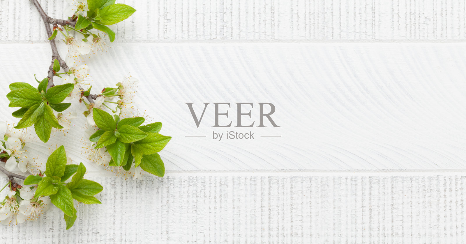 苹果花树枝在木桌上照片摄影图片