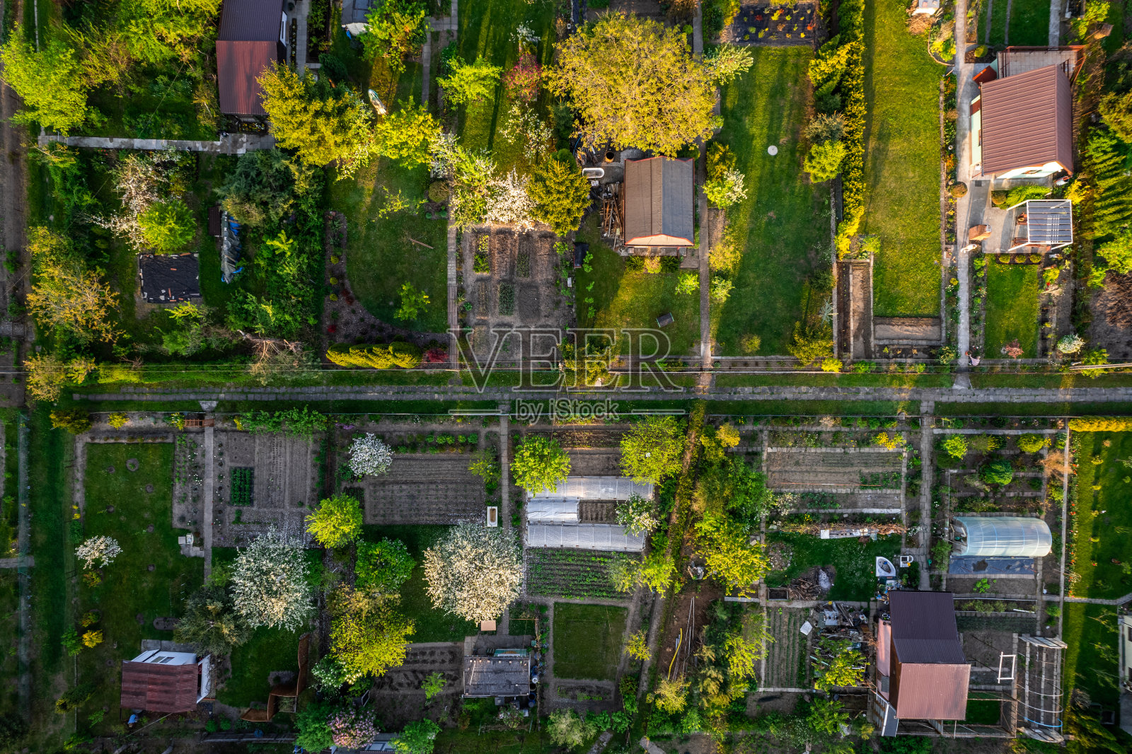 波兰塔尔诺市区的彩色小块花园。夏天茂密的树叶。无人机上下视图。照片摄影图片