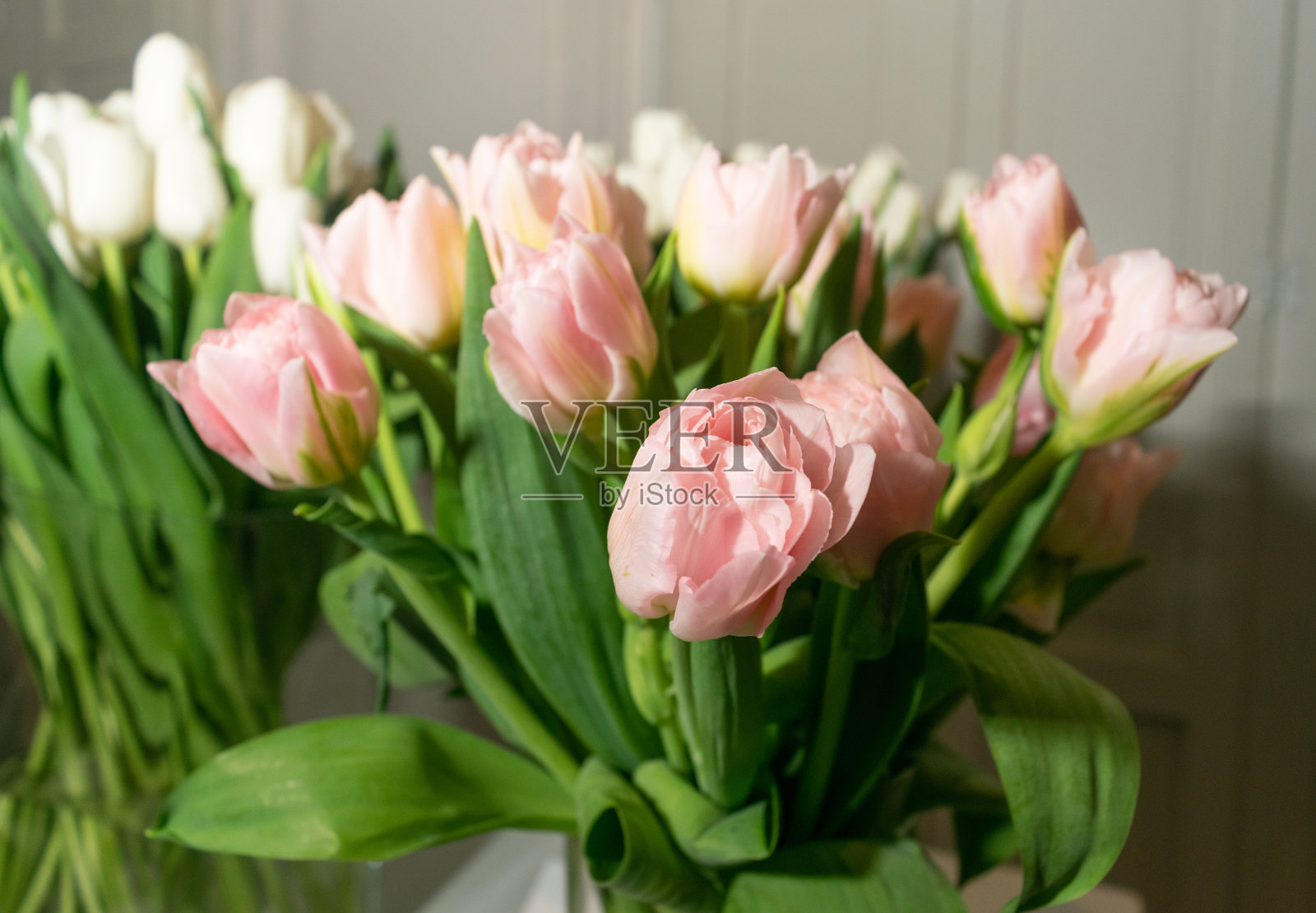 郁金香花束，春天的郁金香花照片摄影图片