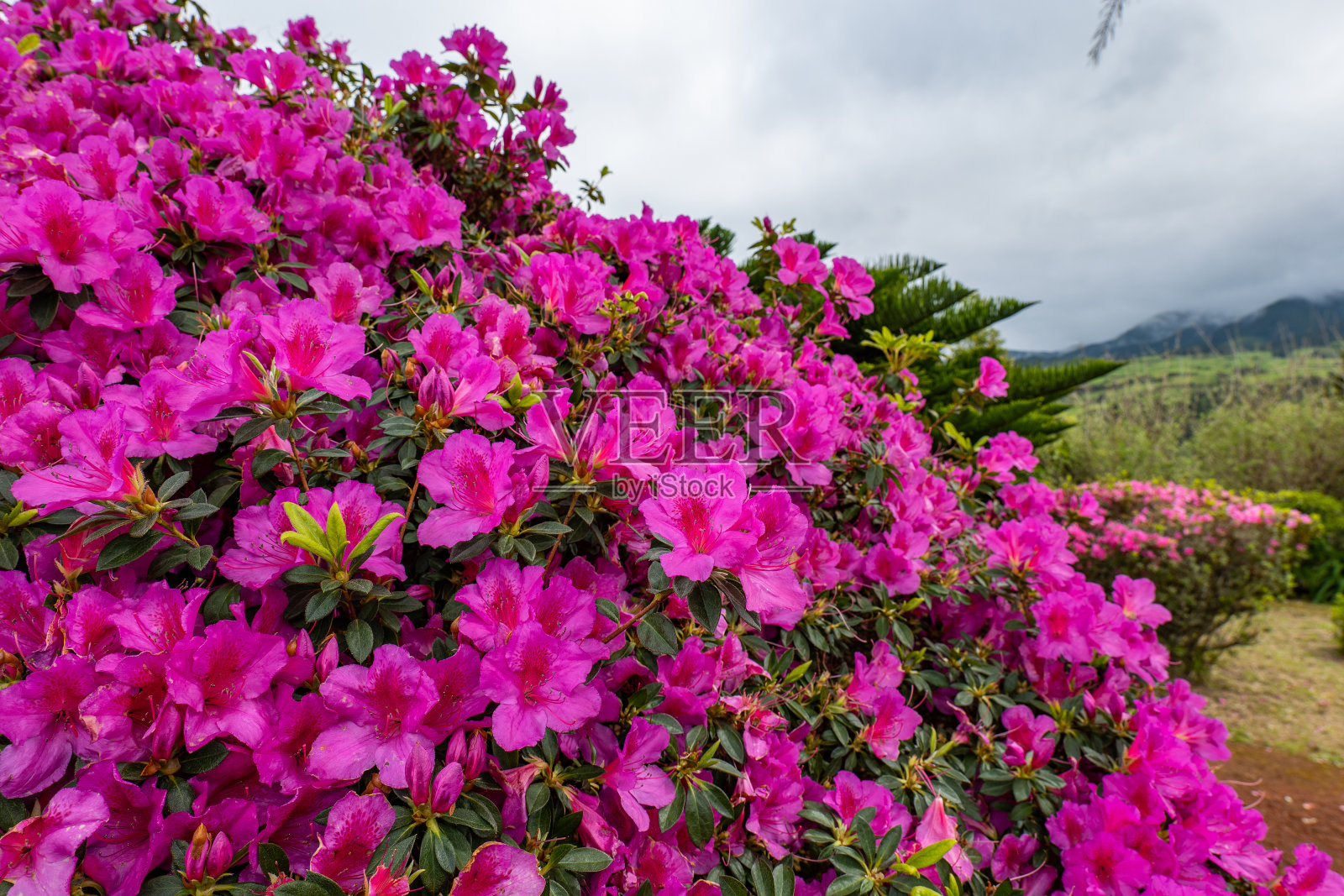 亚速尔群岛的美丽风景，圣米格尔岛照片摄影图片