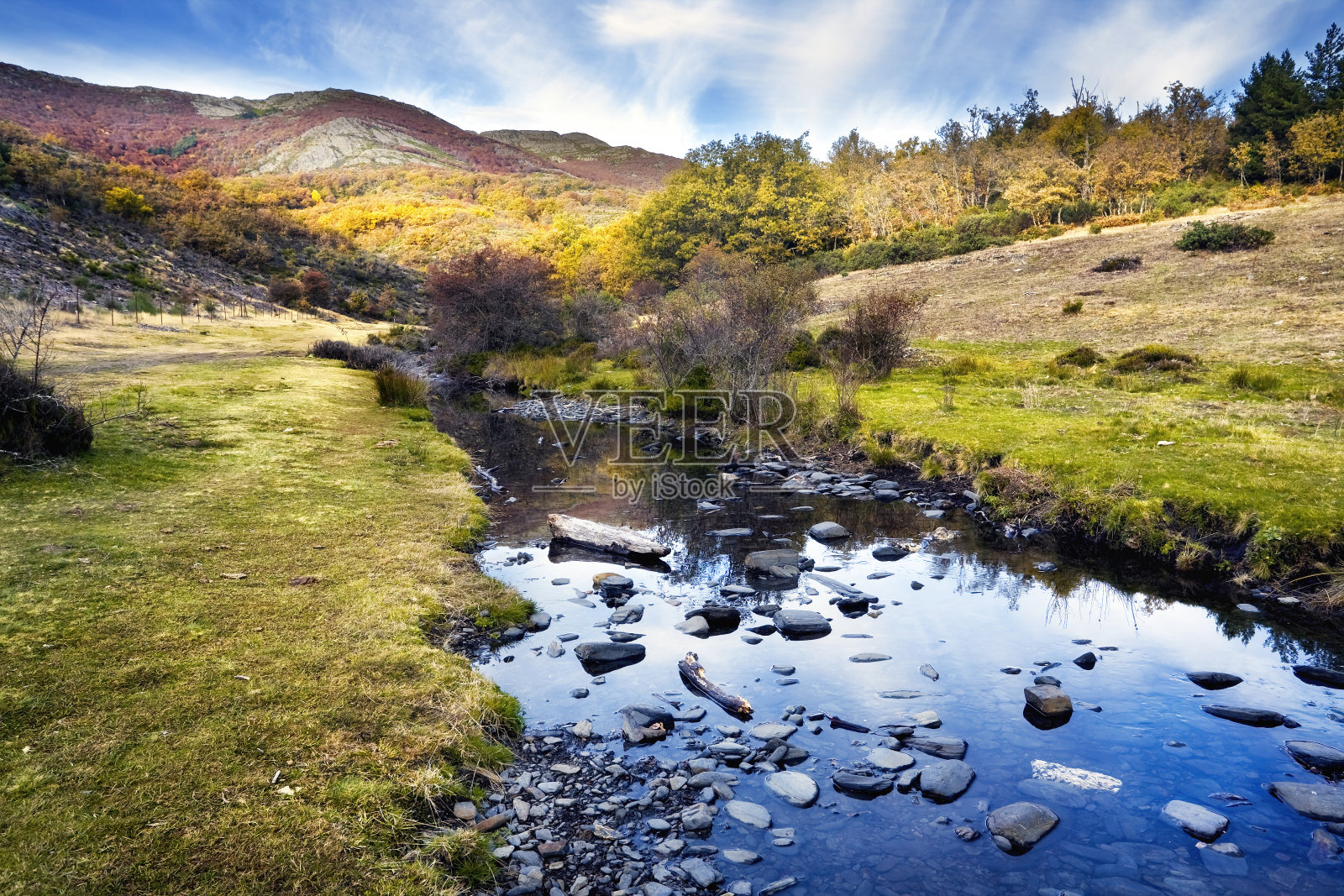 北塞拉照片摄影图片