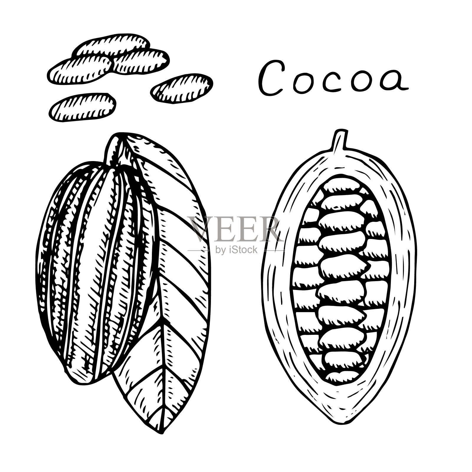 可可集矢量插图，手绘草图插画图片素材