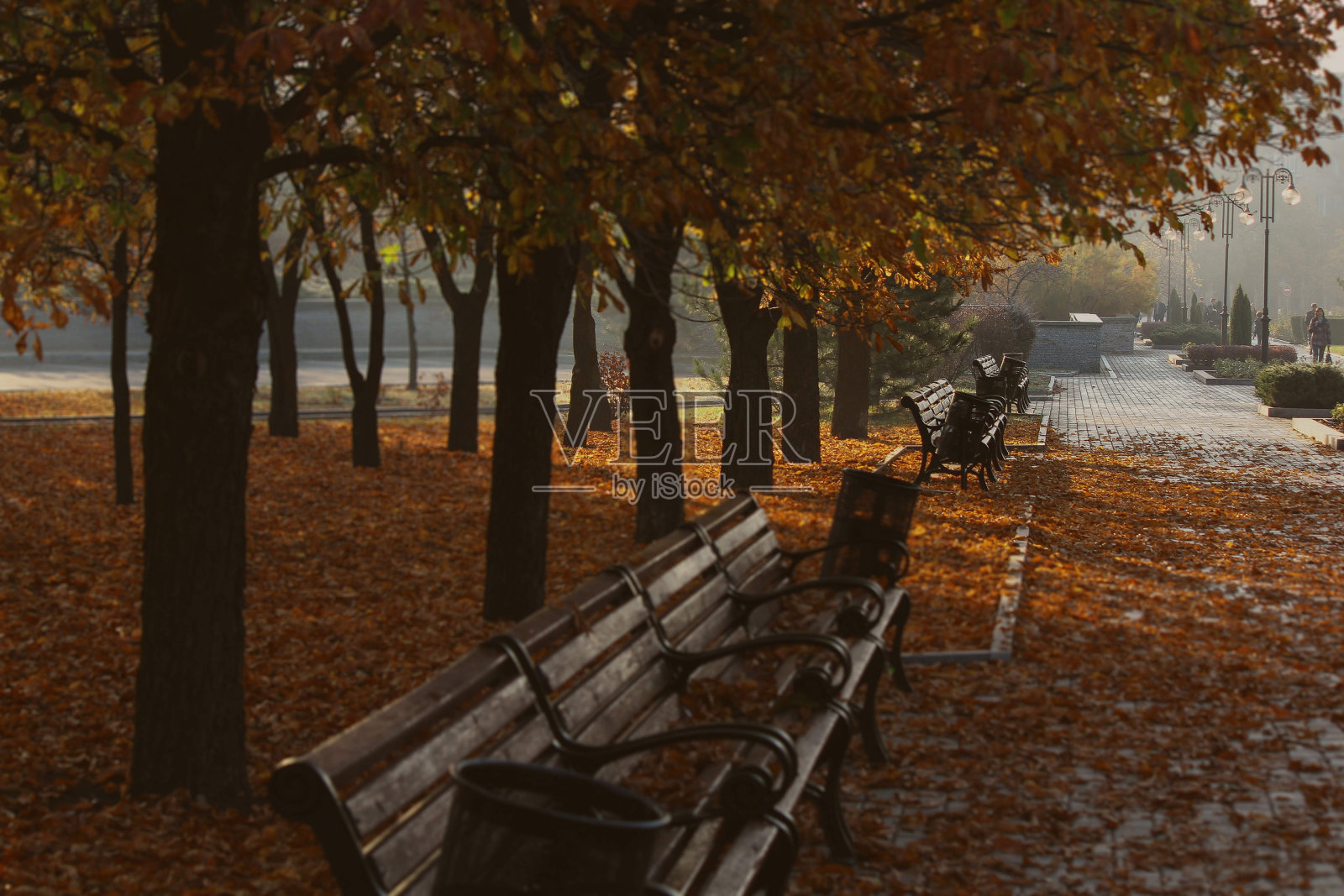 秋天的城市公园照片摄影图片