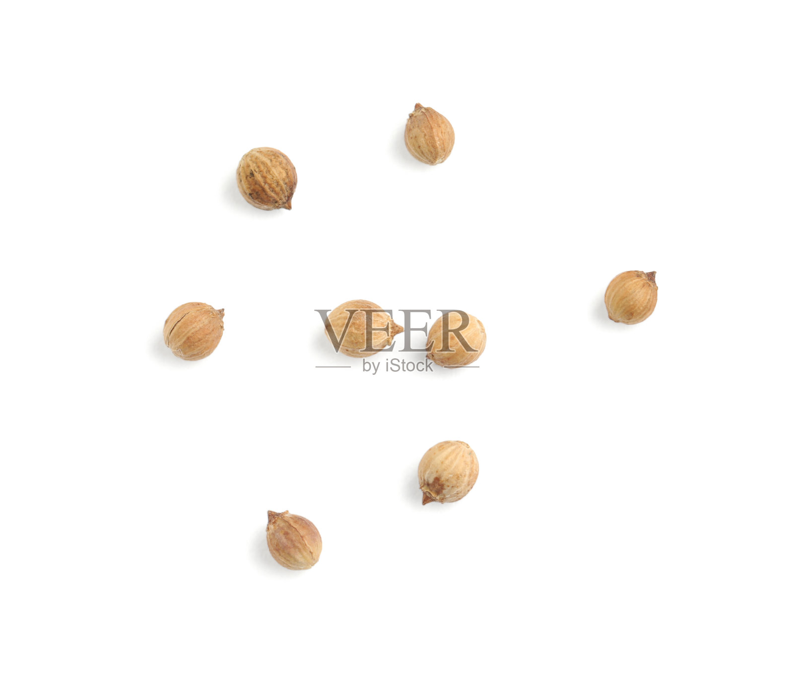 白底撒干芫荽种子，俯视图照片摄影图片