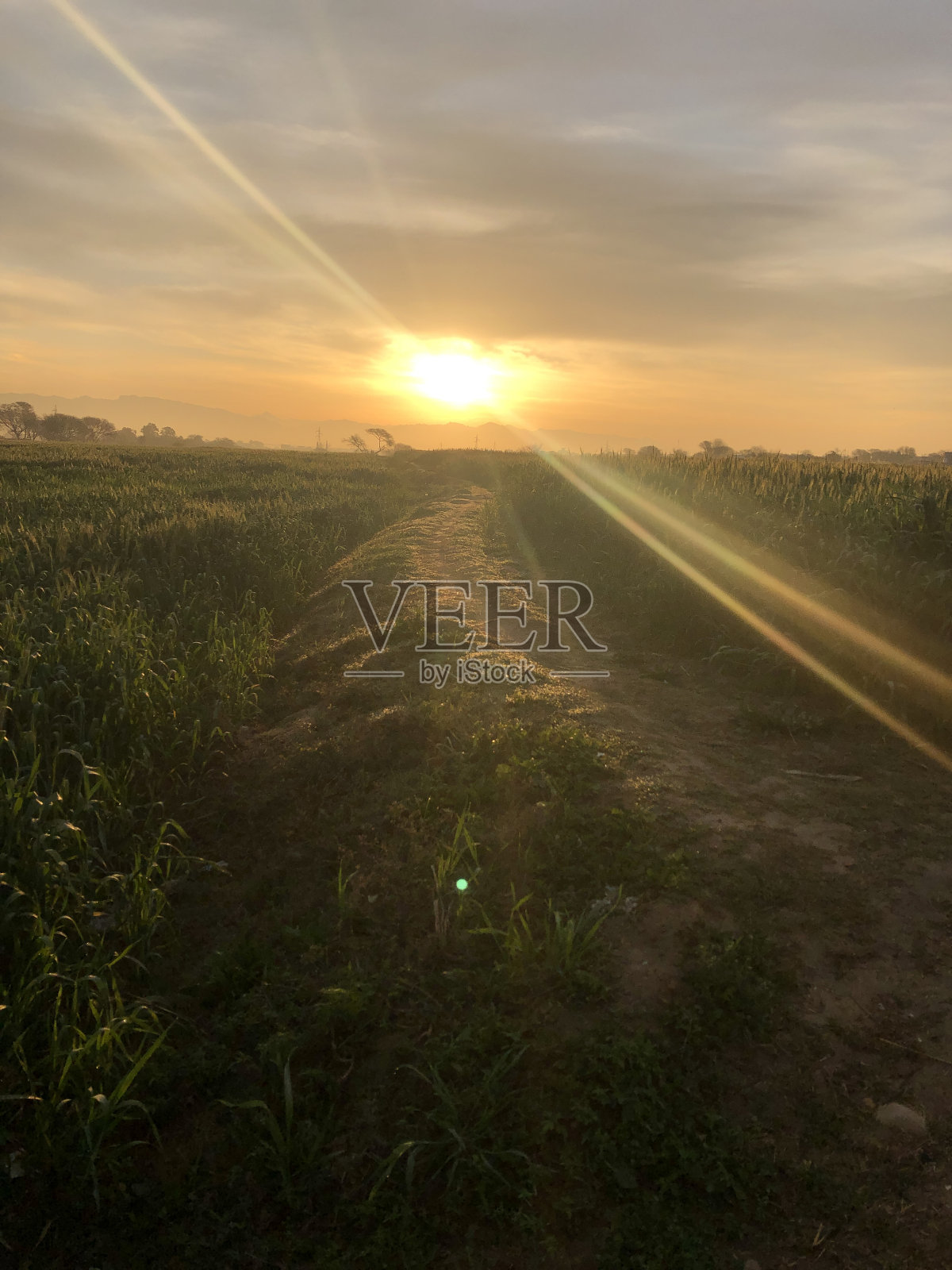 太阳光束照片摄影图片