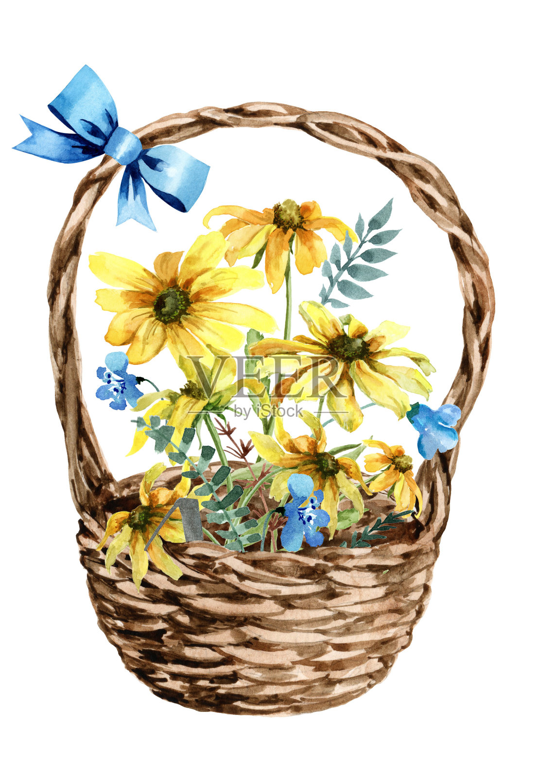 带野花的柳条篮子。田野花束蓝色花，黄色洋甘菊花，绿叶。手绘水彩在白色的背景。插画图片素材