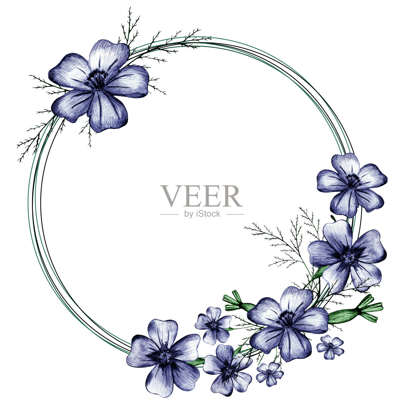 手绘万寿菊蓝色花圈框。插画图片素材