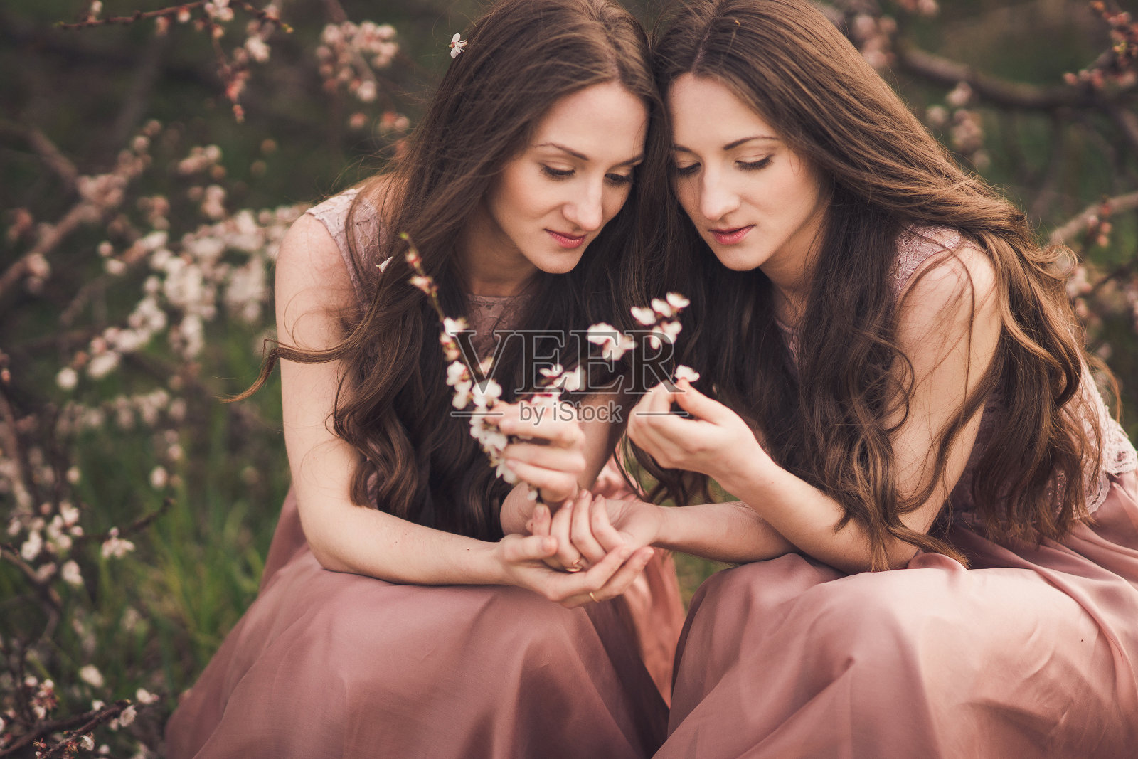 美丽快乐的双胞胎姐妹穿着长长的晚礼服，在春天的花园里享受着香气。照片摄影图片