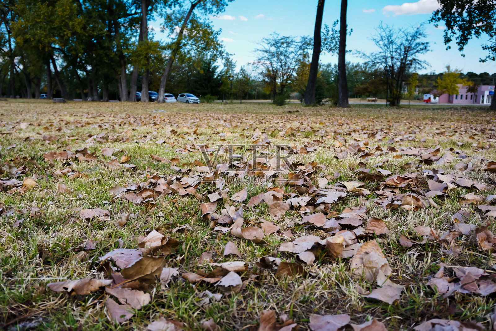 秋季的一天照片摄影图片