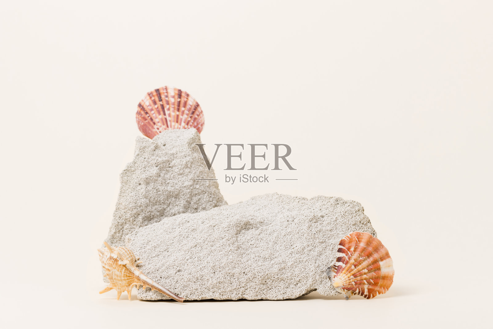 石质讲台与贝壳，夏季背景照片摄影图片