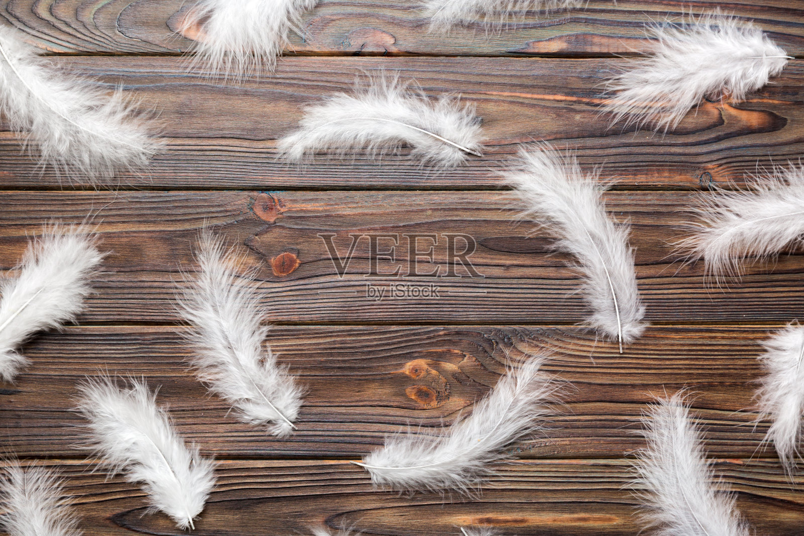 色彩鲜艳的框架染色鸟羽毛彩色背景，顶视图照片摄影图片