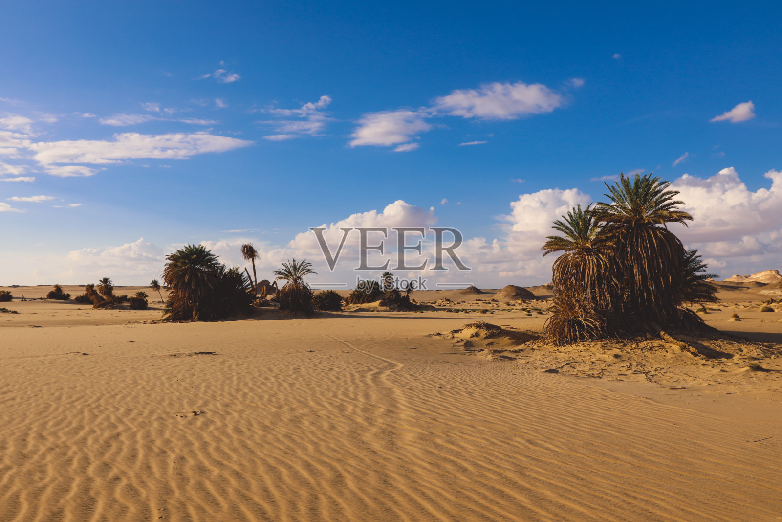 白色沙漠景观照片摄影图片