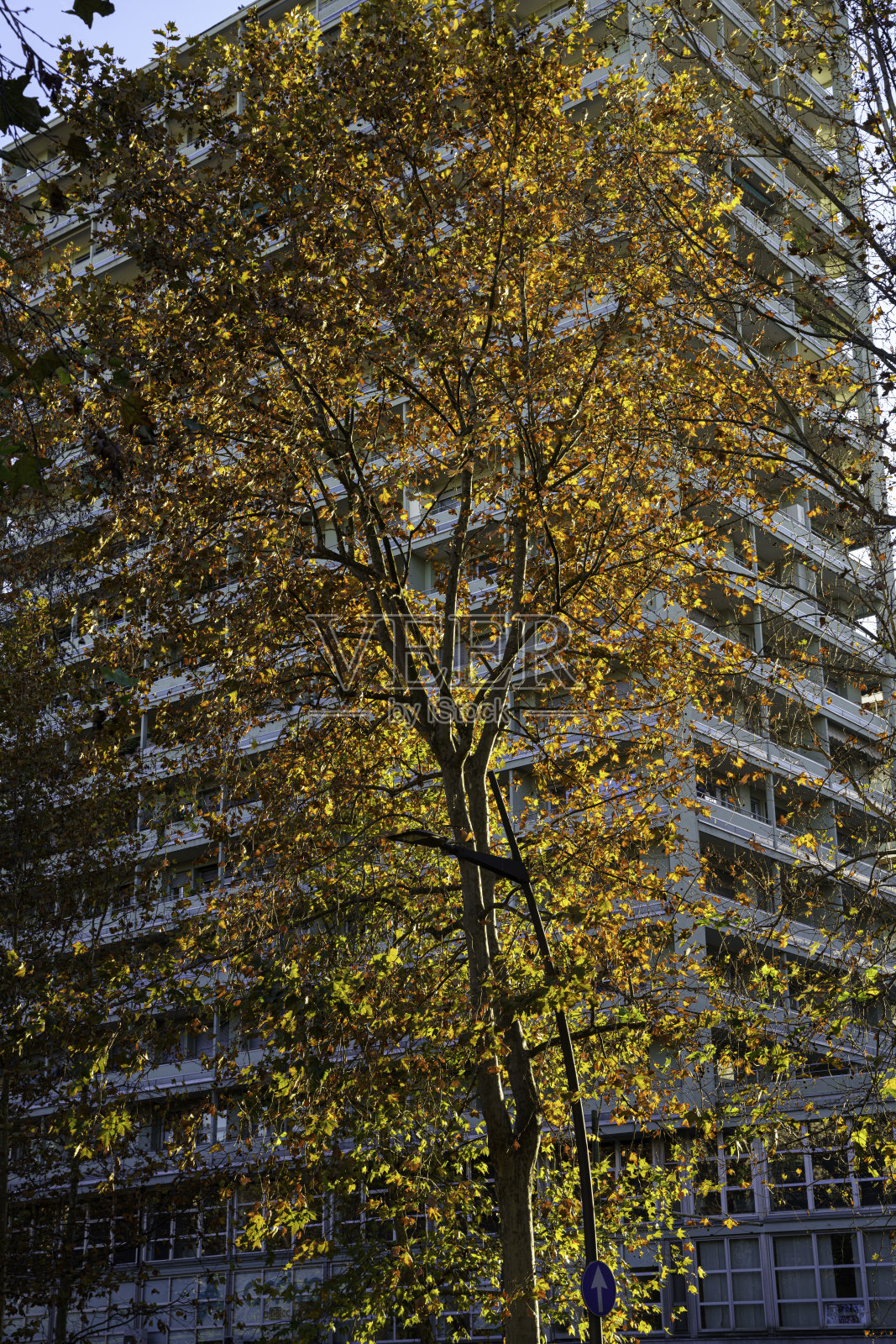 米兰:沿着Sempione大道的现代建筑照片摄影图片