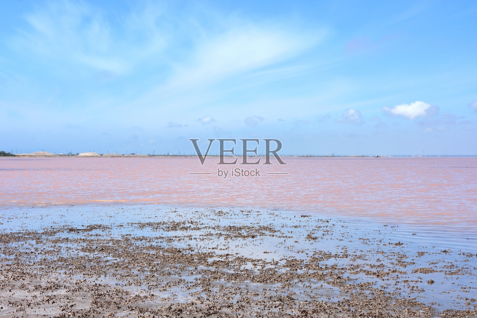 克里米亚的粉红盐湖照片摄影图片