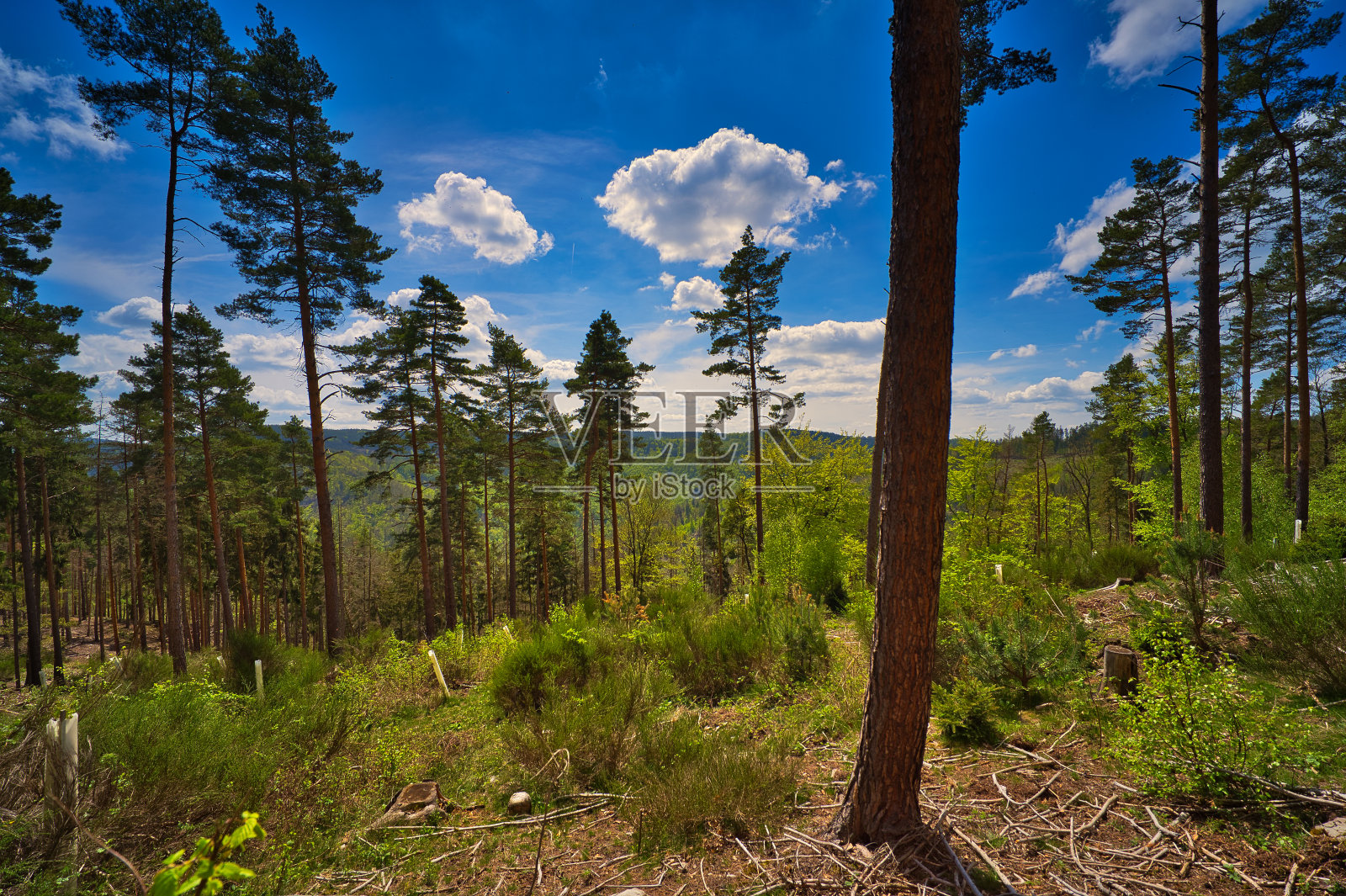 图林根森林里的伦斯泰格照片摄影图片