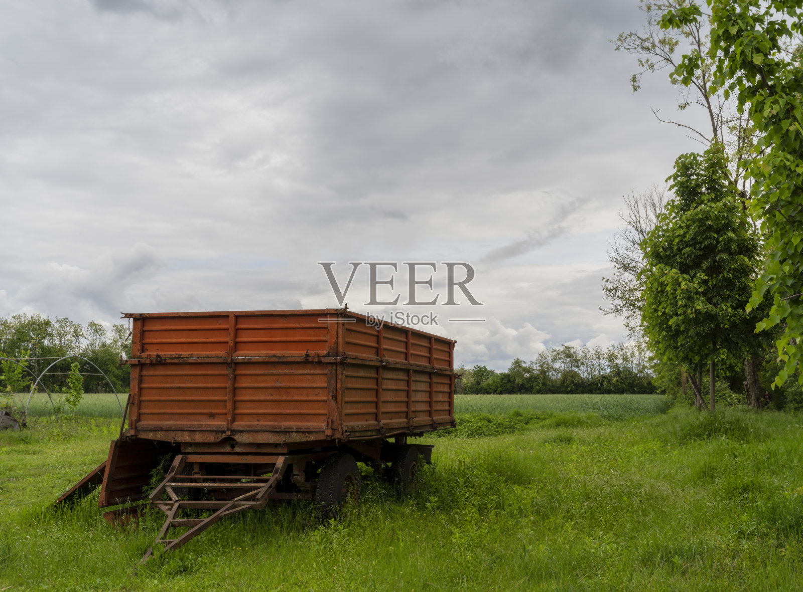 春天的公园照片摄影图片