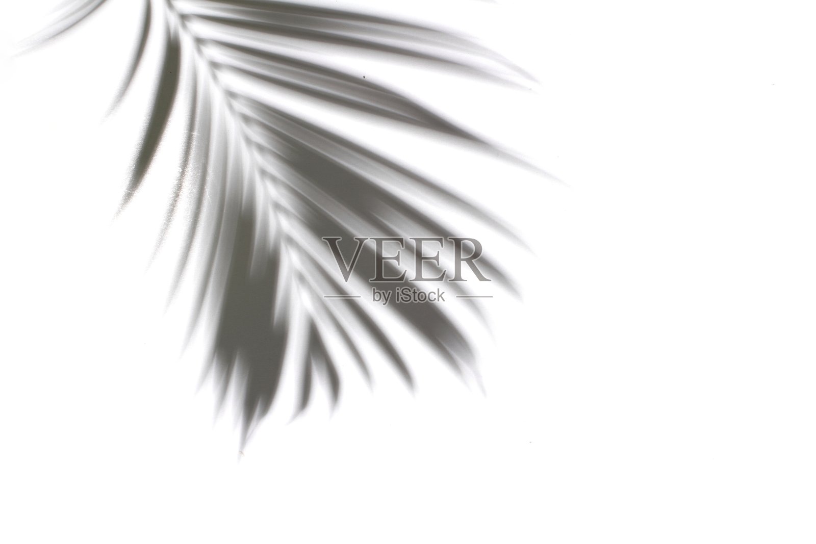 影子照片摄影图片