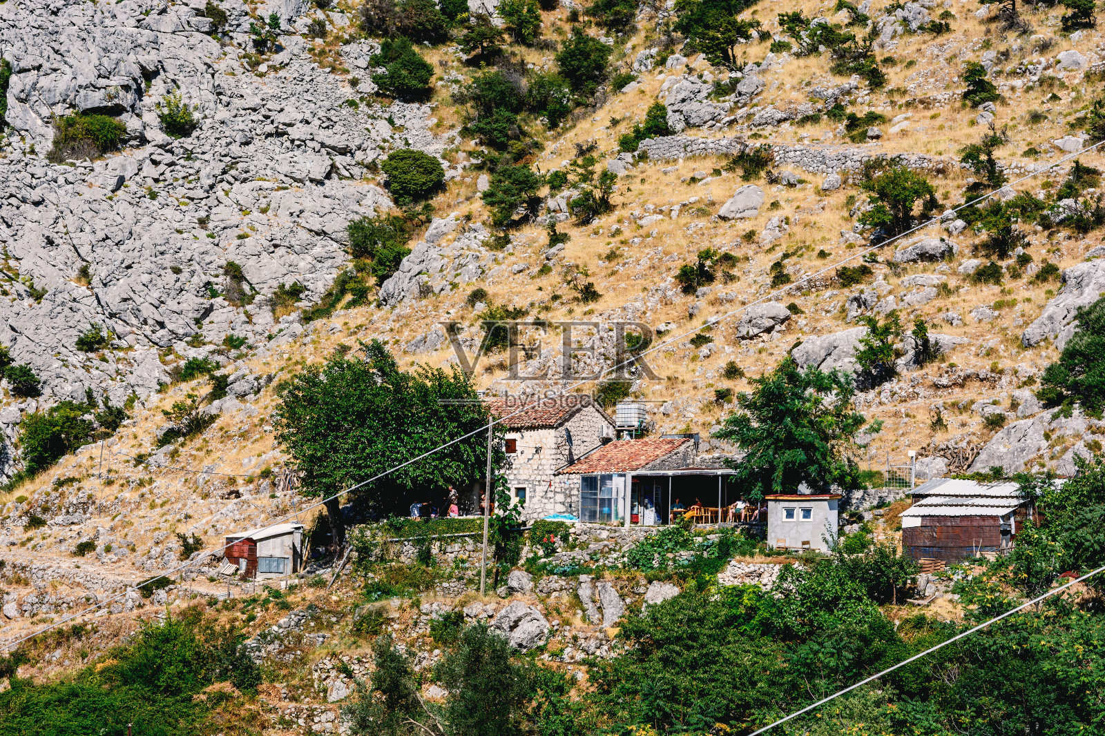牧场在高山上照片摄影图片