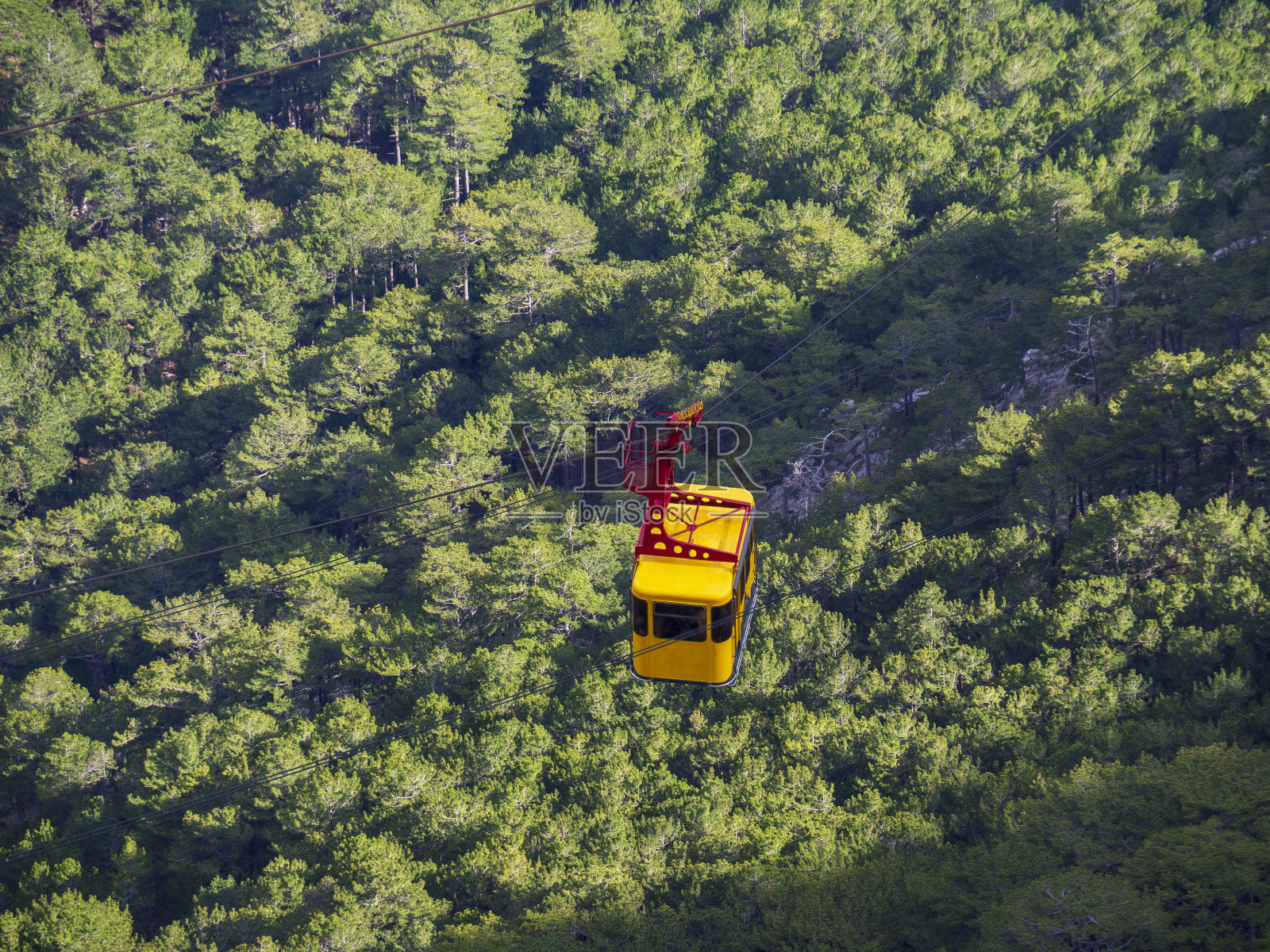 明亮，夏季对比照片。照片摄影图片