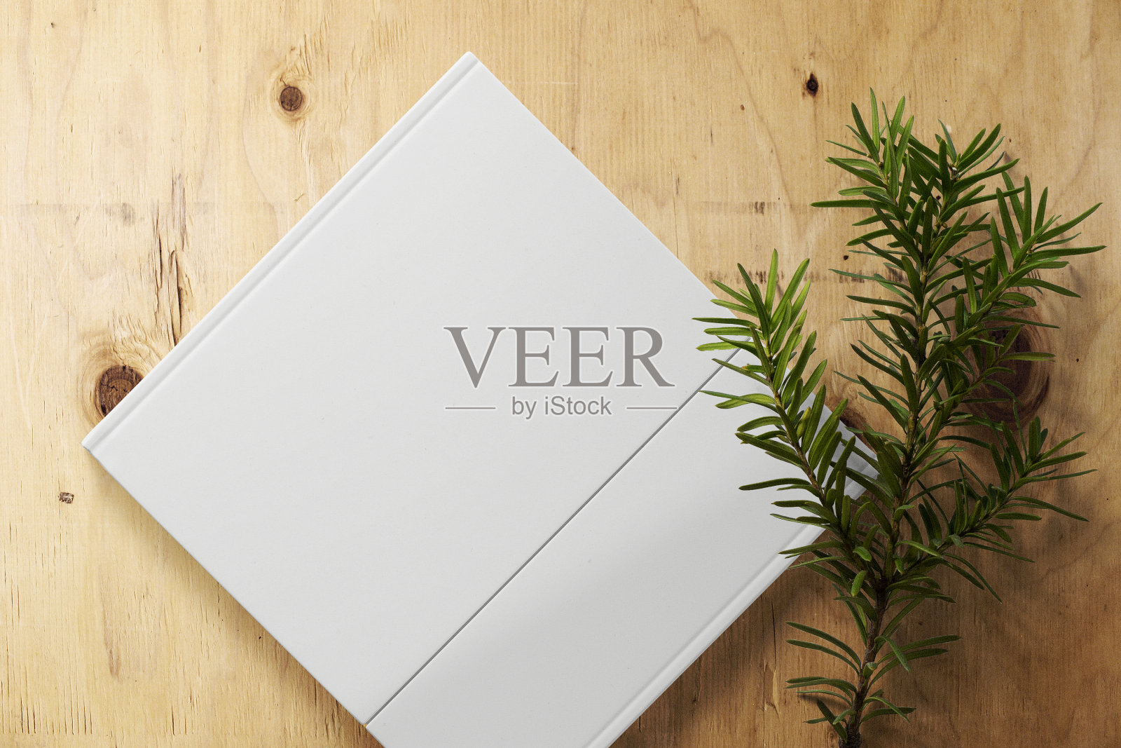 清洁最小的封面方形书模型顶部木材与植物照片摄影图片
