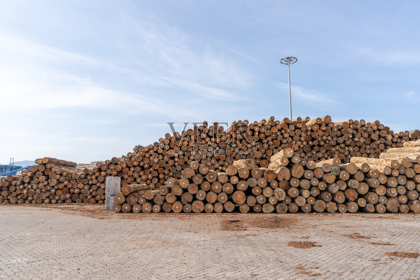 港口的空地上堆满了木材照片摄影图片