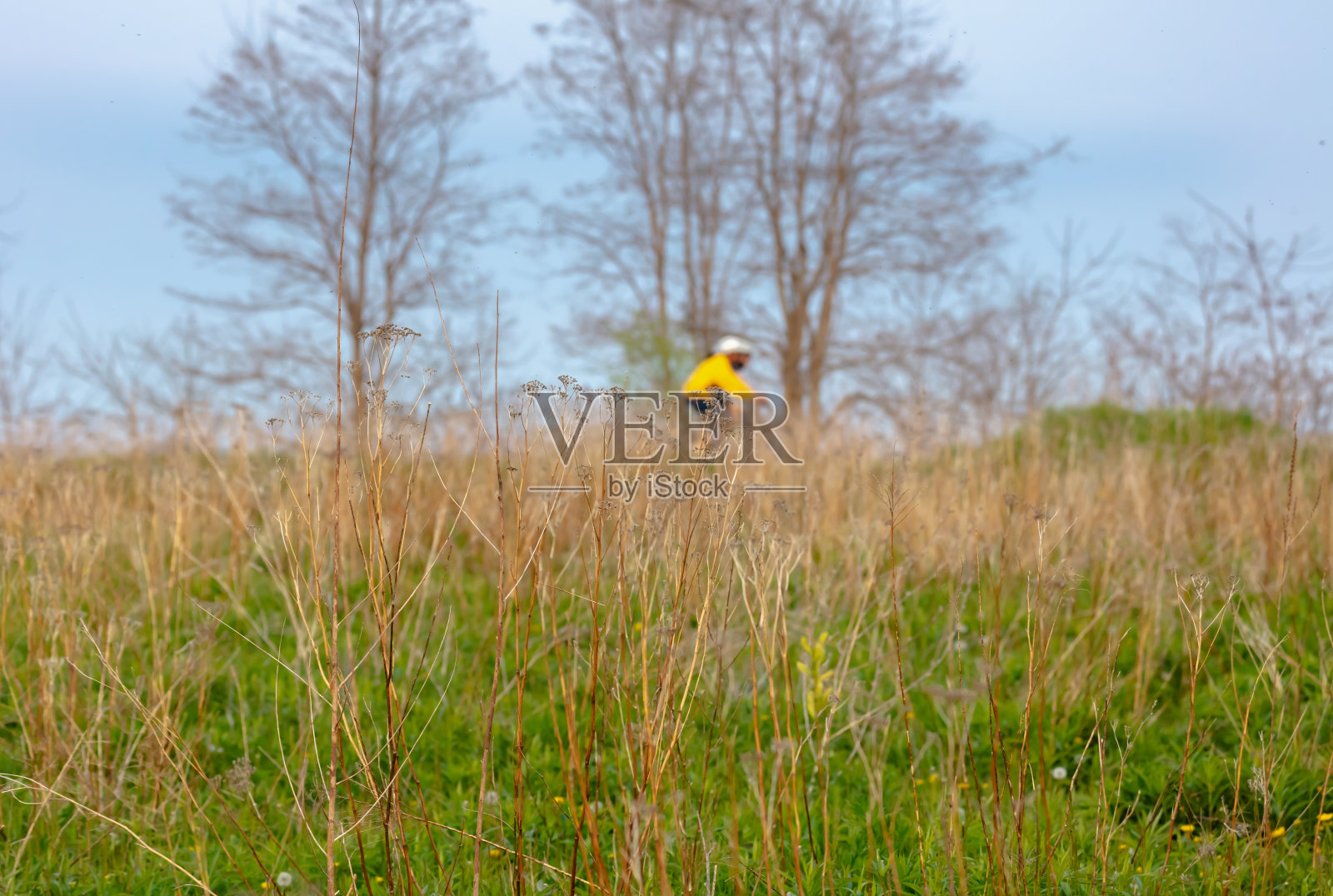 骑行穿过绿化带照片摄影图片