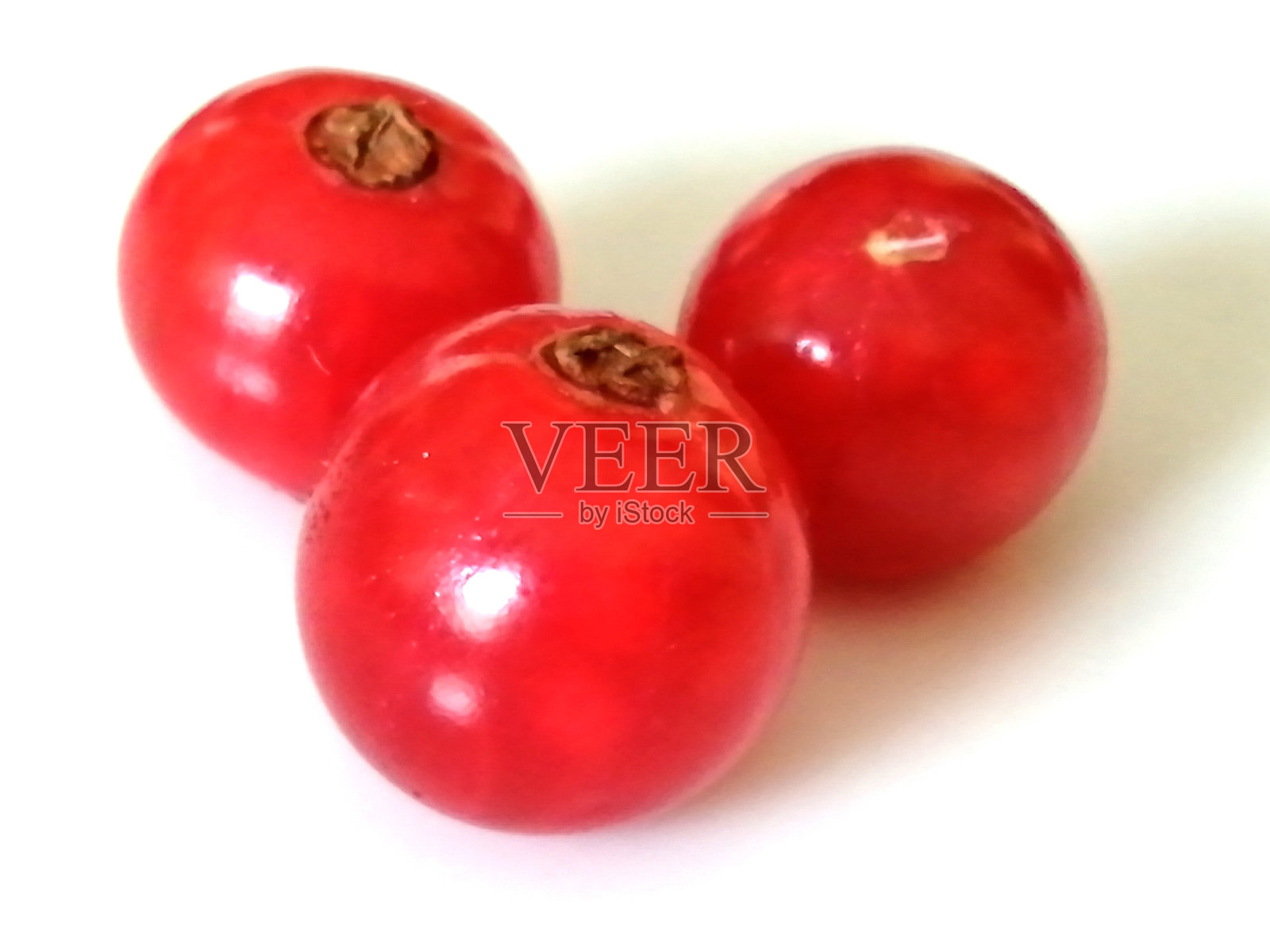 醋栗照片摄影图片