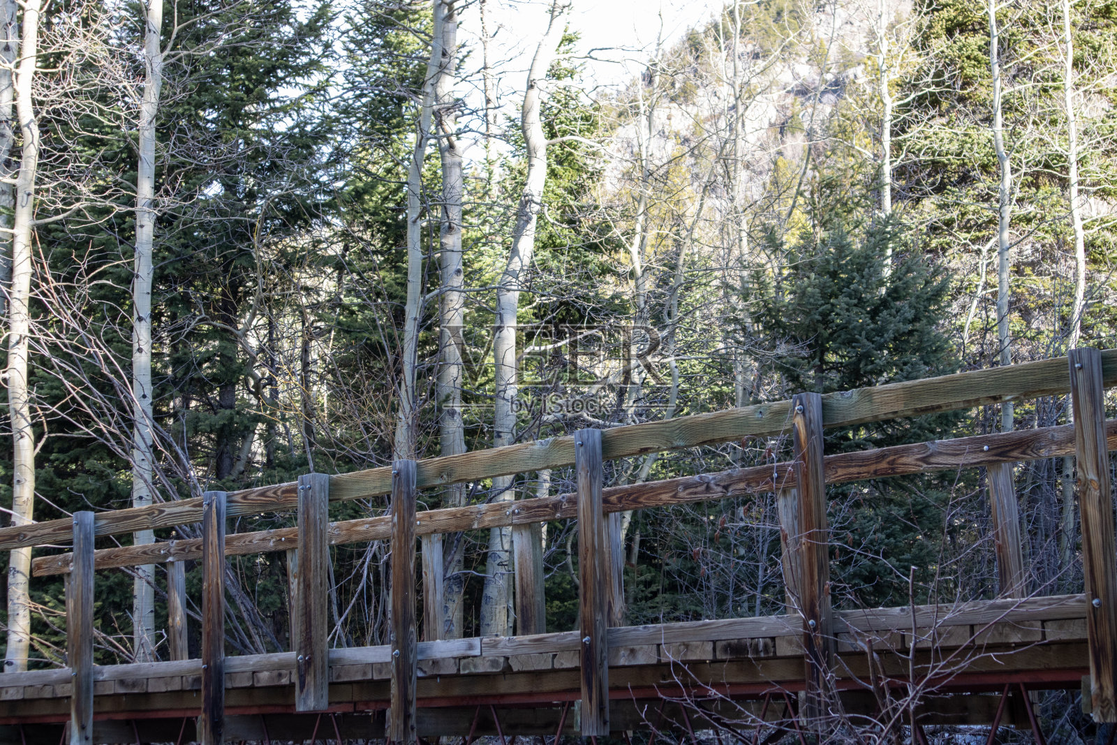 森林里的一座桥照片摄影图片