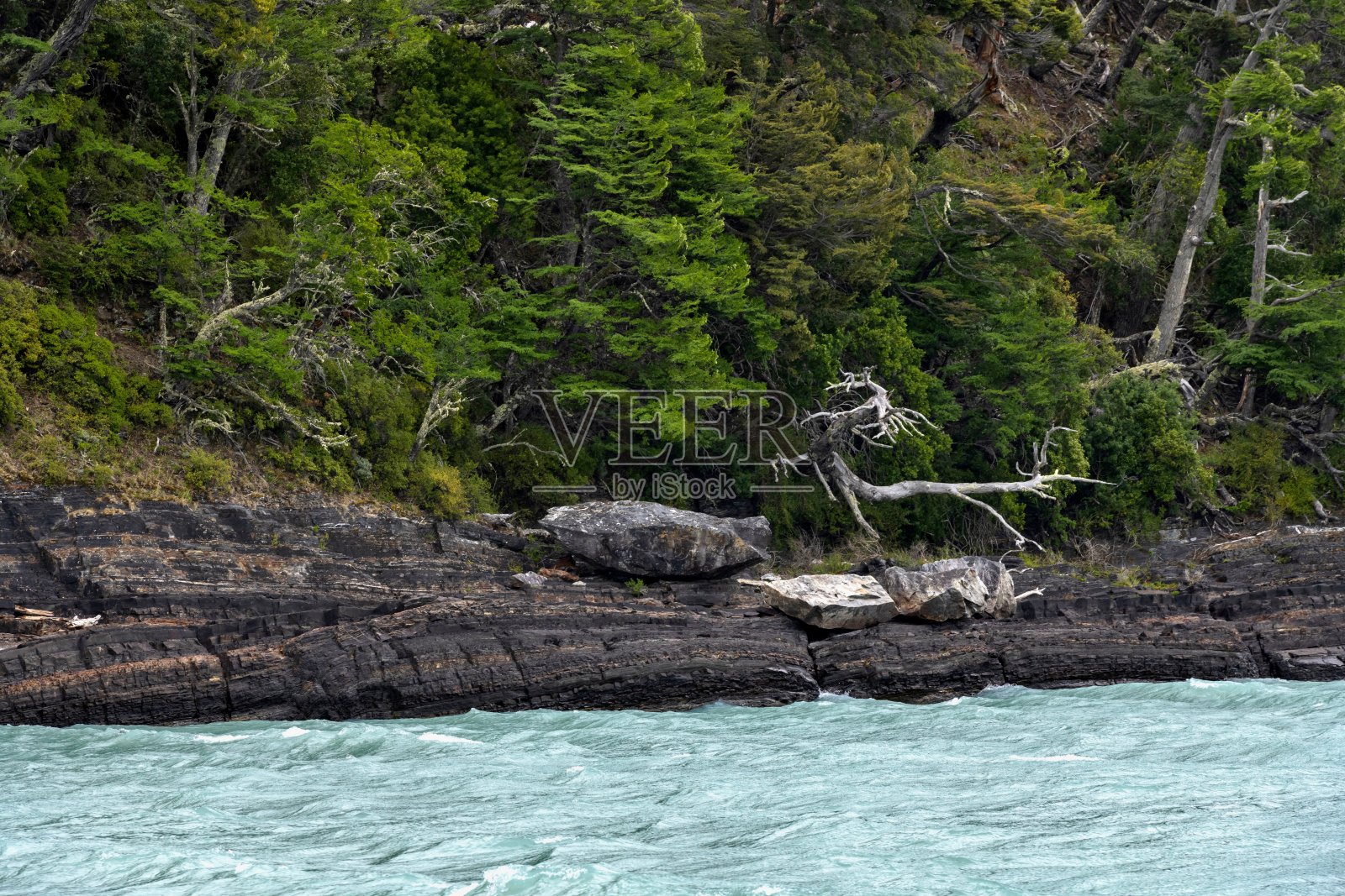 阿根廷湖的死箱子照片摄影图片