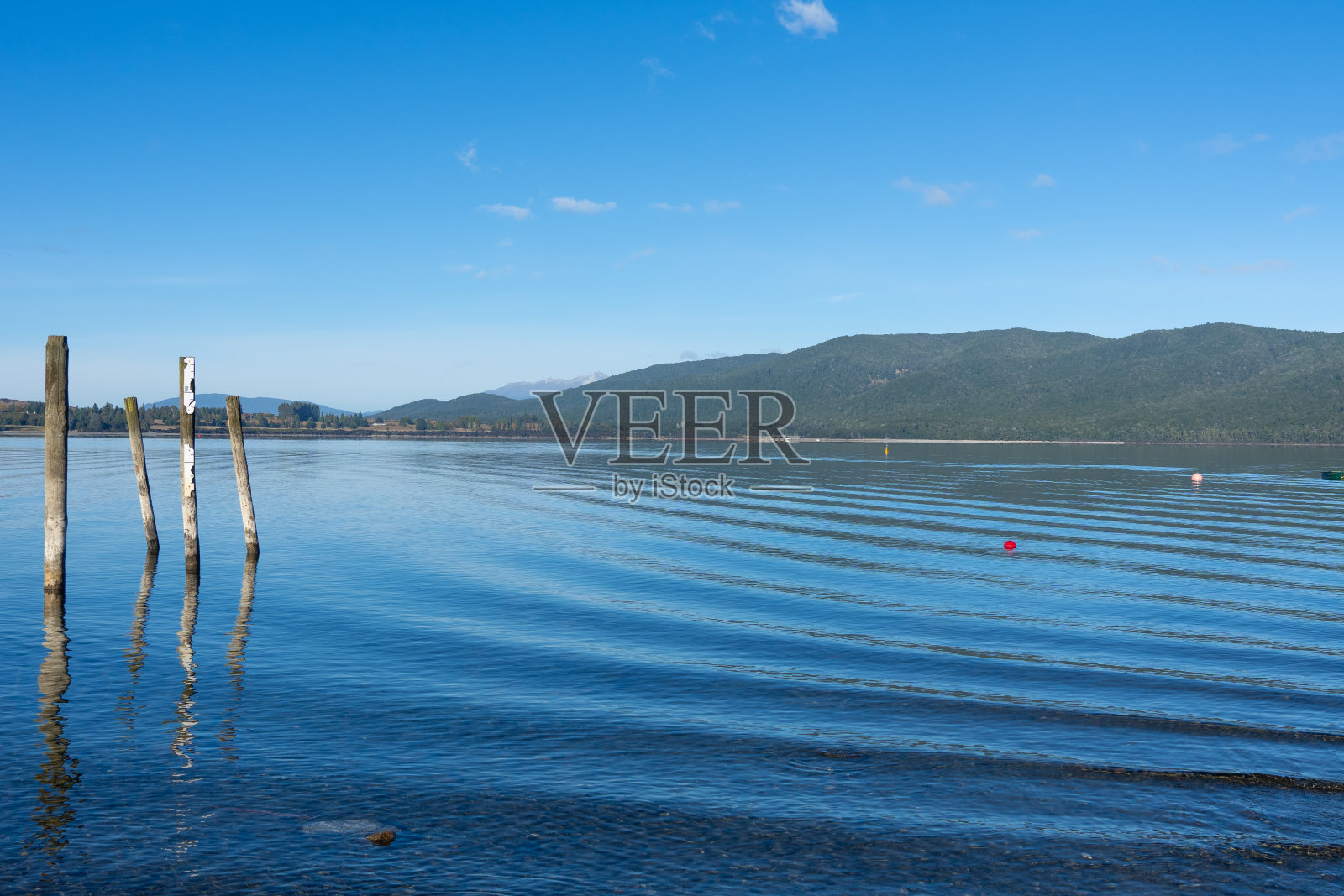 Te Anau湖岸线的看法横跨湖照片摄影图片