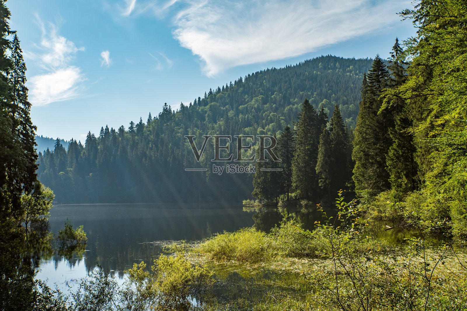 湖泊附近的针叶林背景是群山和蓝天白云。Synevir喀尔巴阡山。照片摄影图片