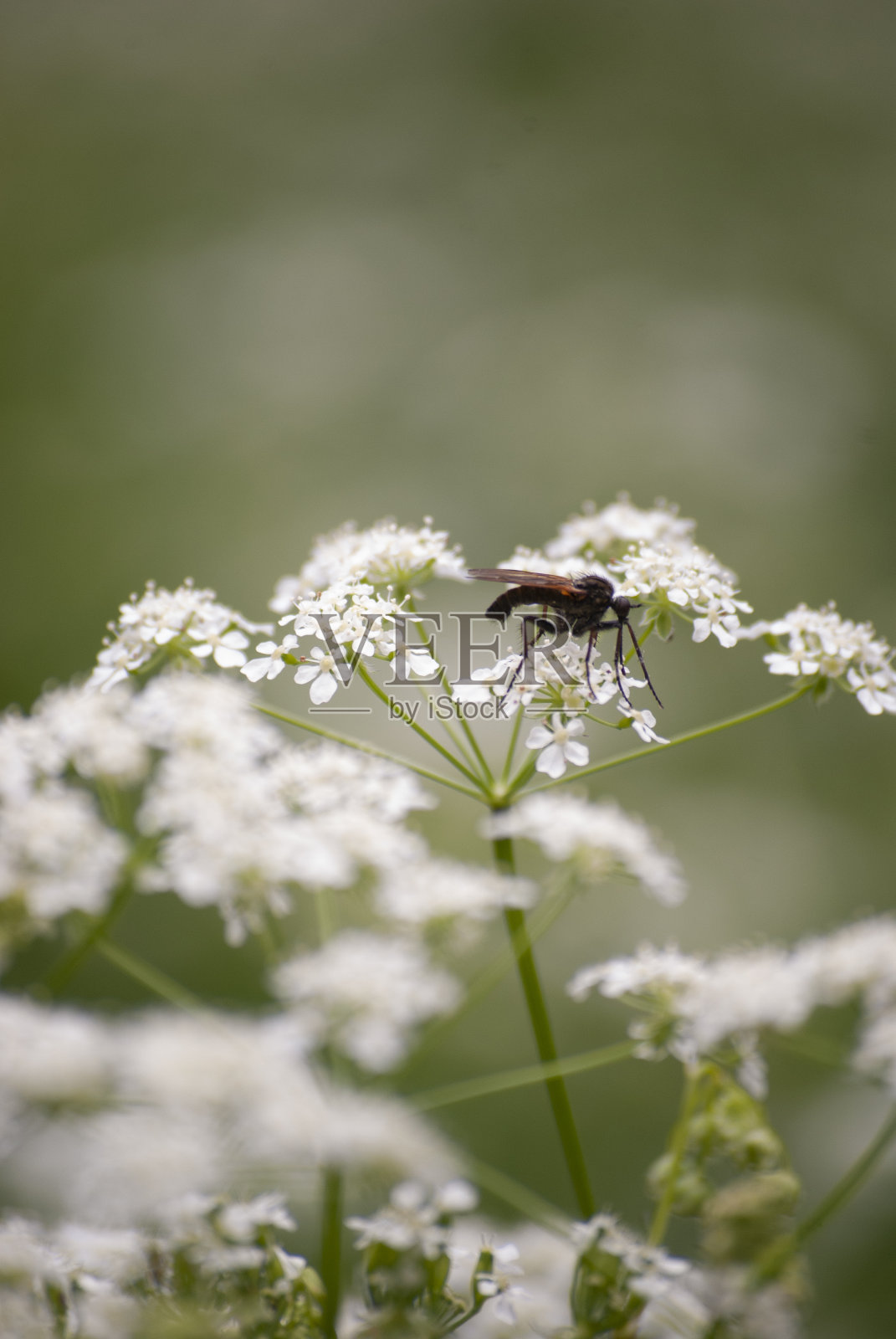 Flitch Way -挂飞照片摄影图片