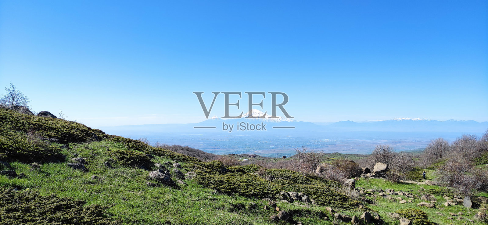 美丽的风景。绿色的草地和山脉。美丽的亚拉拉特山照片摄影图片